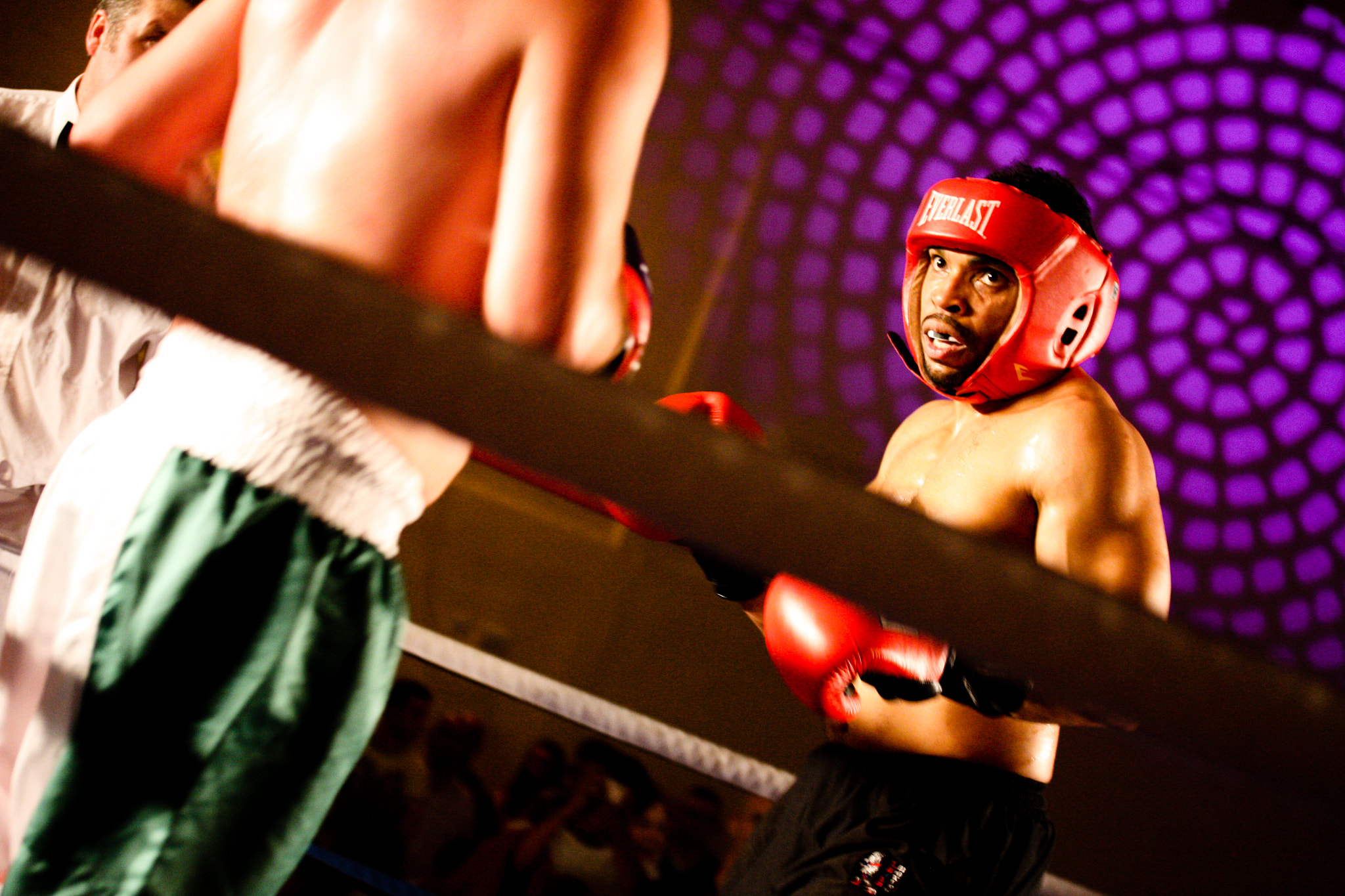 Canon EF-S 60mm F2.8 Macro USM sample photo. Eye of the tiger photography