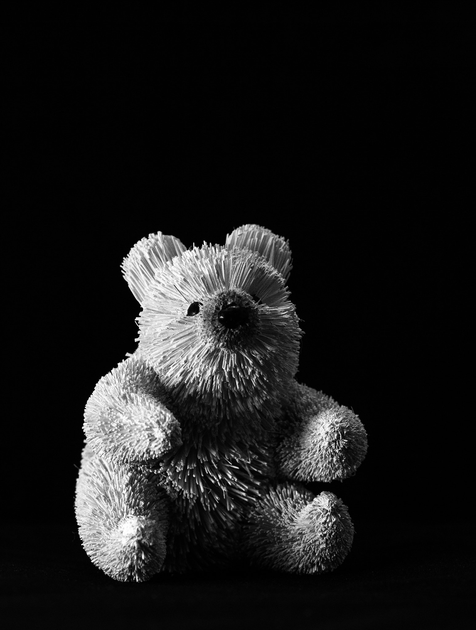 Canon EF 100mm F2.8 Macro USM sample photo. Bear photography