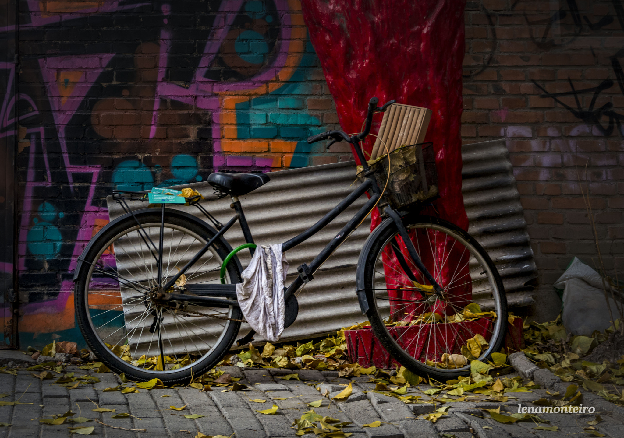 Sigma 18-250mm F3.5-6.3 DC OS HSM sample photo. The bicycle... photography