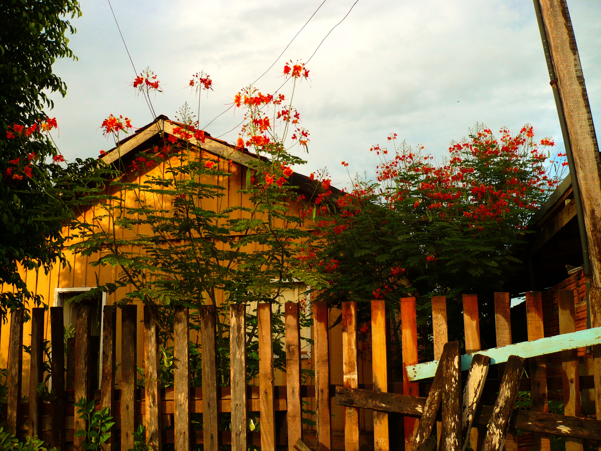 Panasonic DMC-FX12 sample photo. Wooden house photography