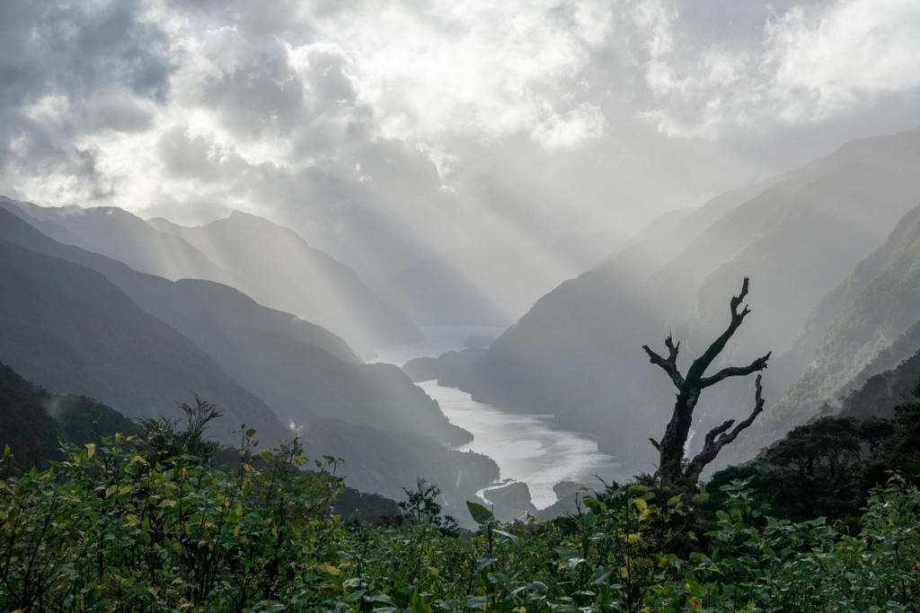 Doubtful Sound by Andi Scharfstein on 500px.com