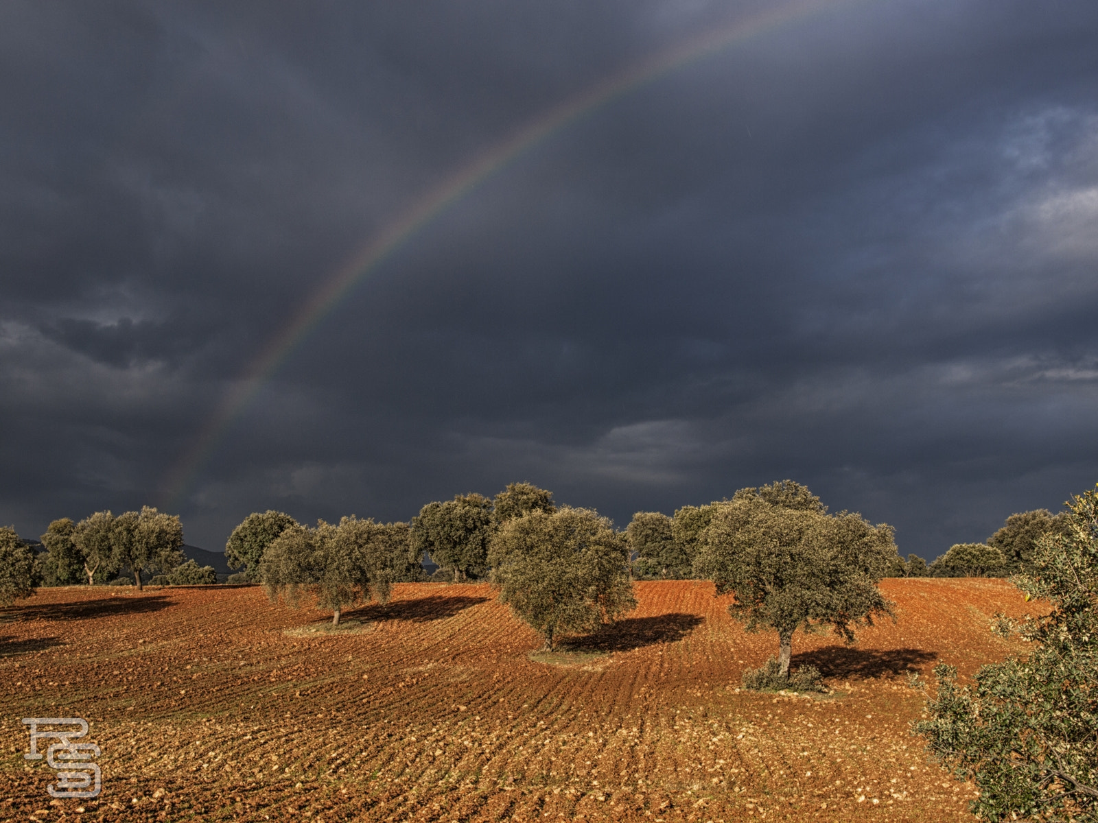 Olympus E-520 (EVOLT E-520) sample photo. Preludio de tormenta photography