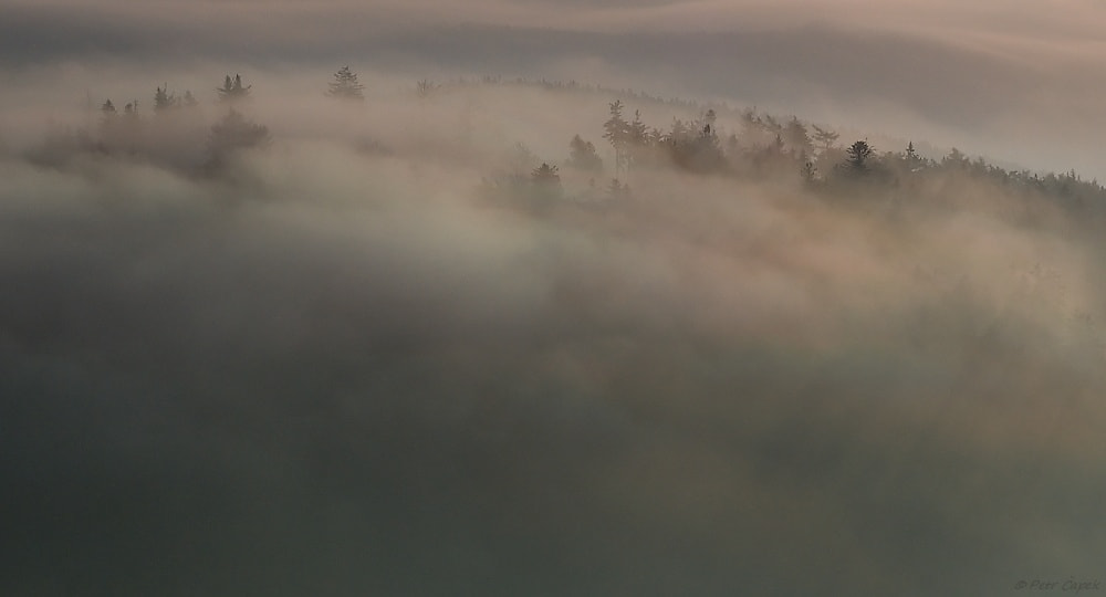 16.00 - 85.00 mm f/3.5 - 5.6 sample photo. Early morning photography