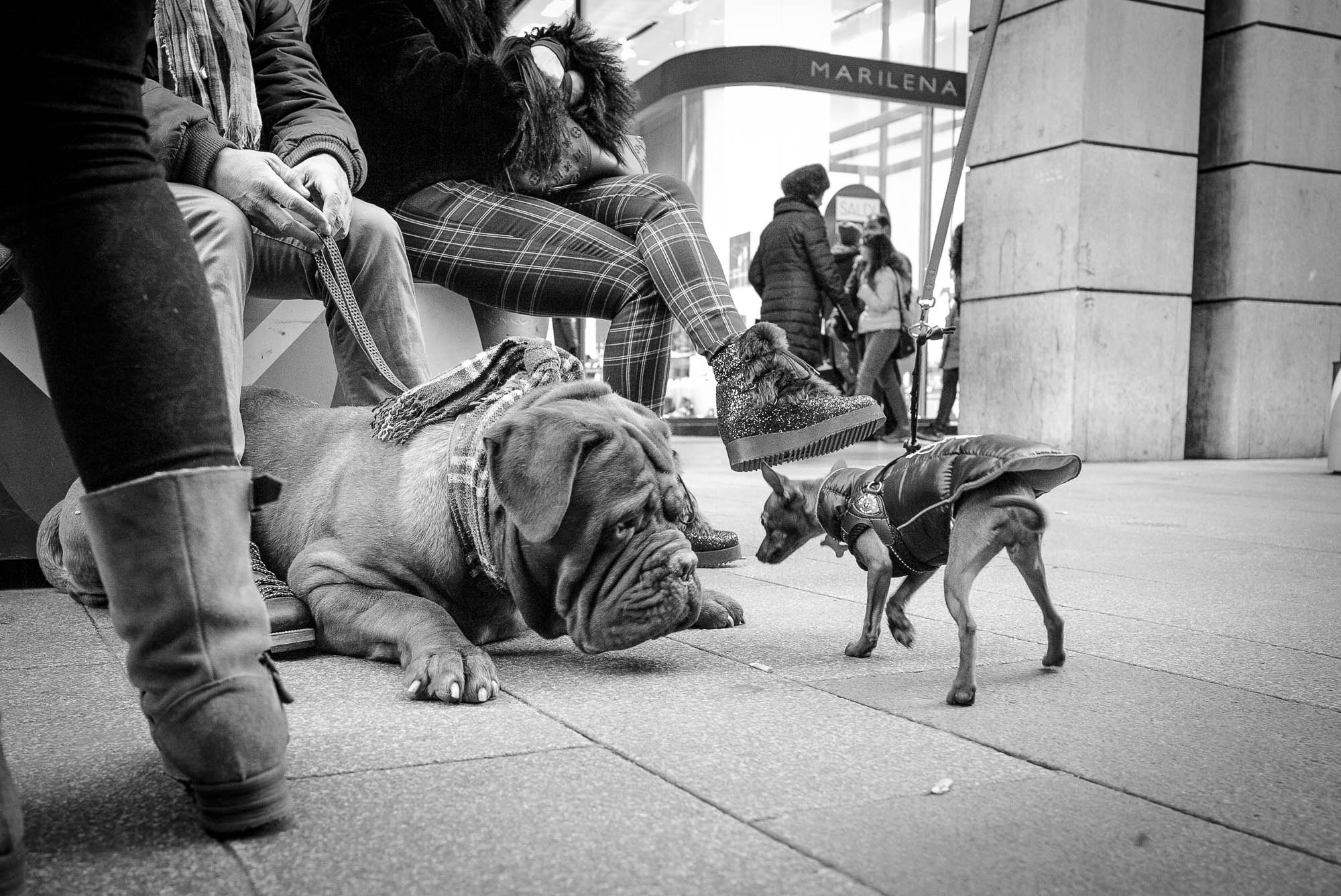 Summicron-M 1:2/28 ASPH. sample photo. Friends photography
