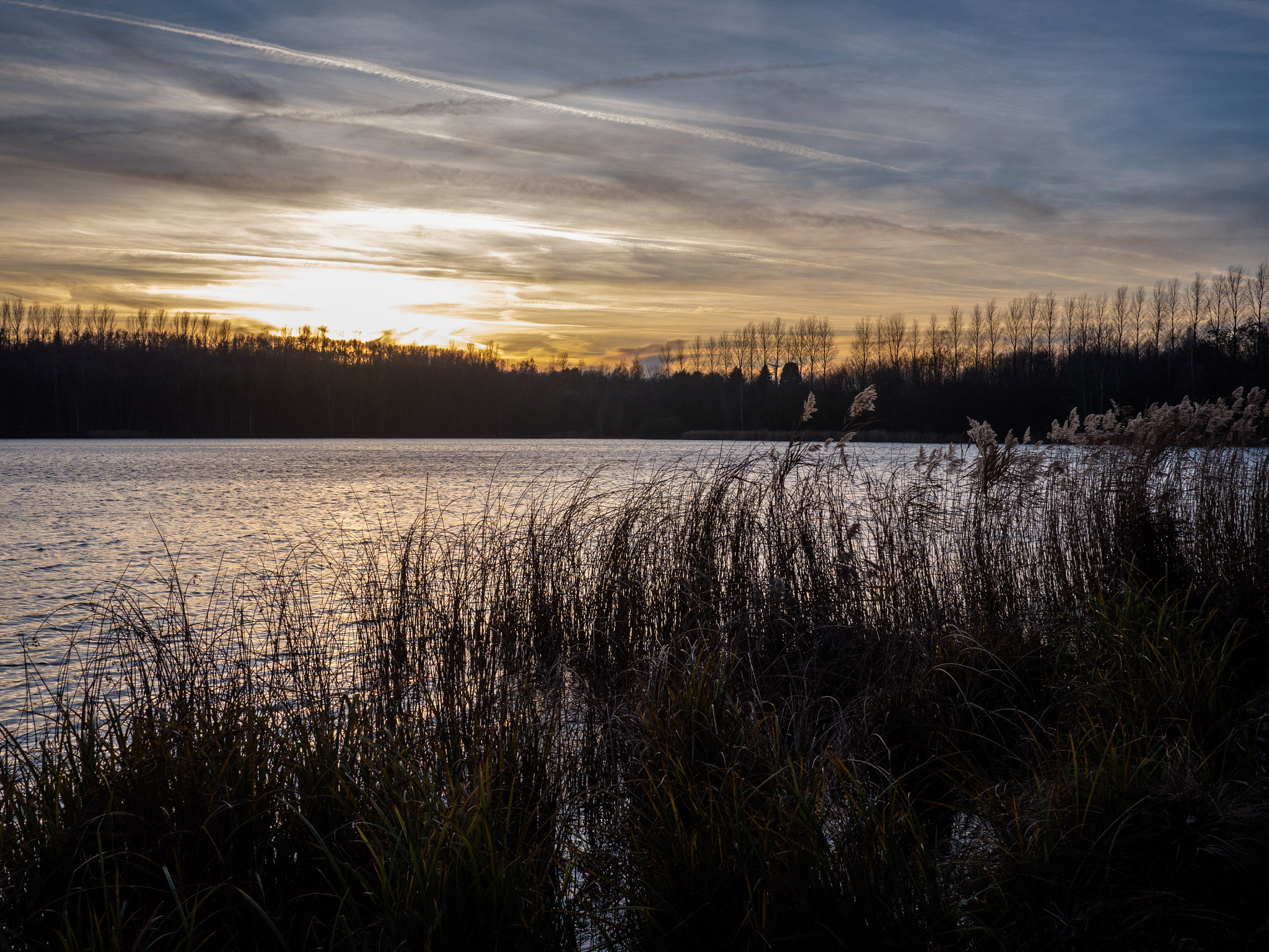 Panasonic Lumix G 20mm F1.7 ASPH sample photo. Hw neurather see photography