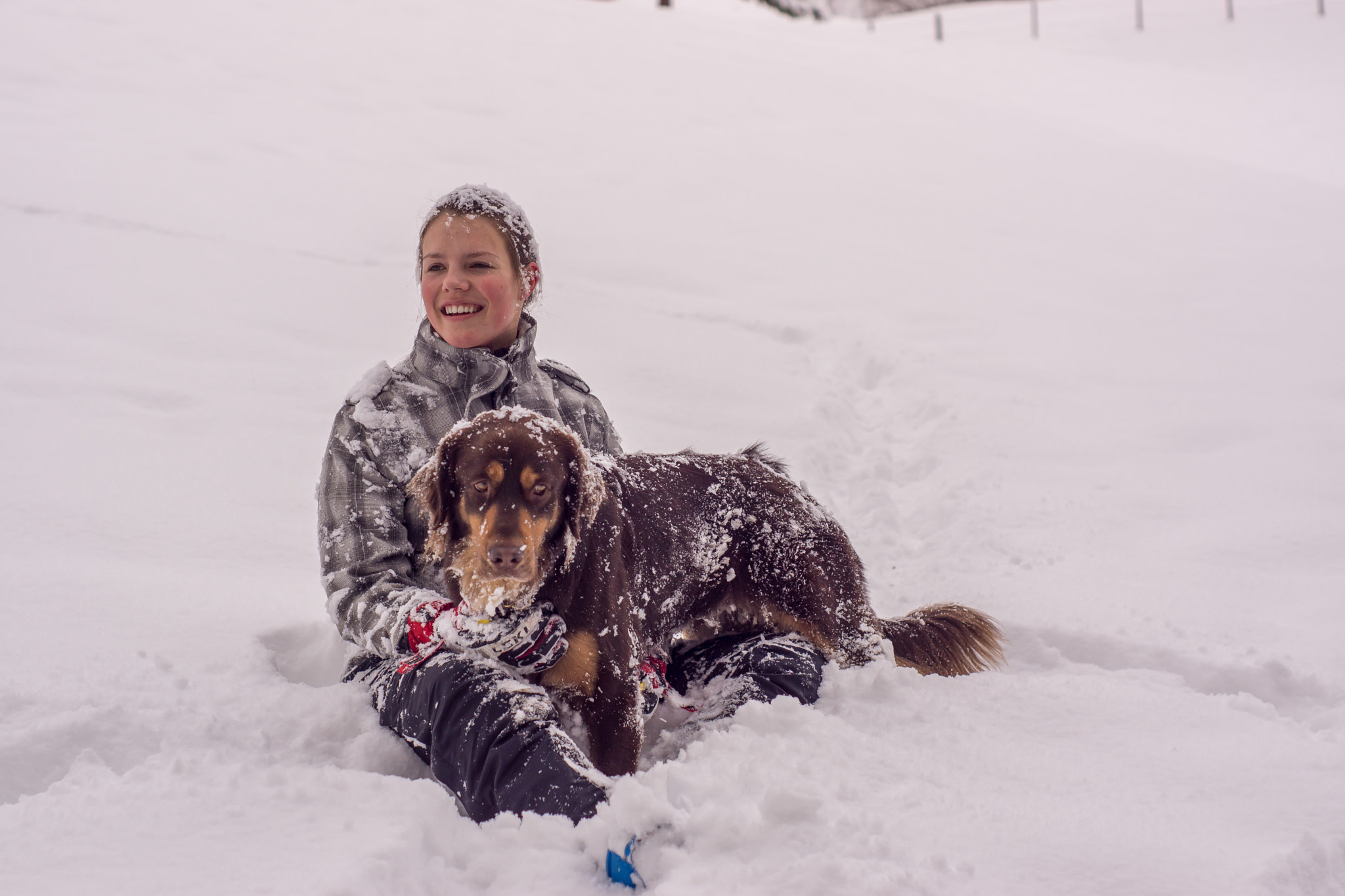 Sony SLT-A65 (SLT-A65V) + Minolta AF 50mm F1.7 sample photo. Snowfun photography