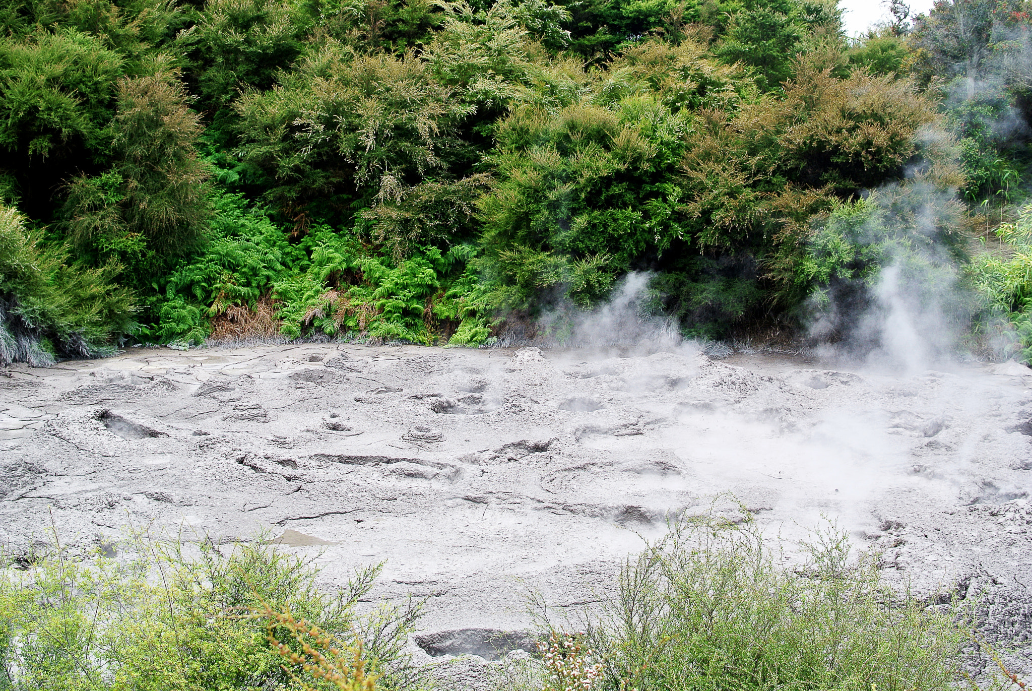 Nikon 1 V1 + Nikon 1 Nikkor 18.5mm F1.8 sample photo. Rotorua geyser - new zealand - mud pool photography