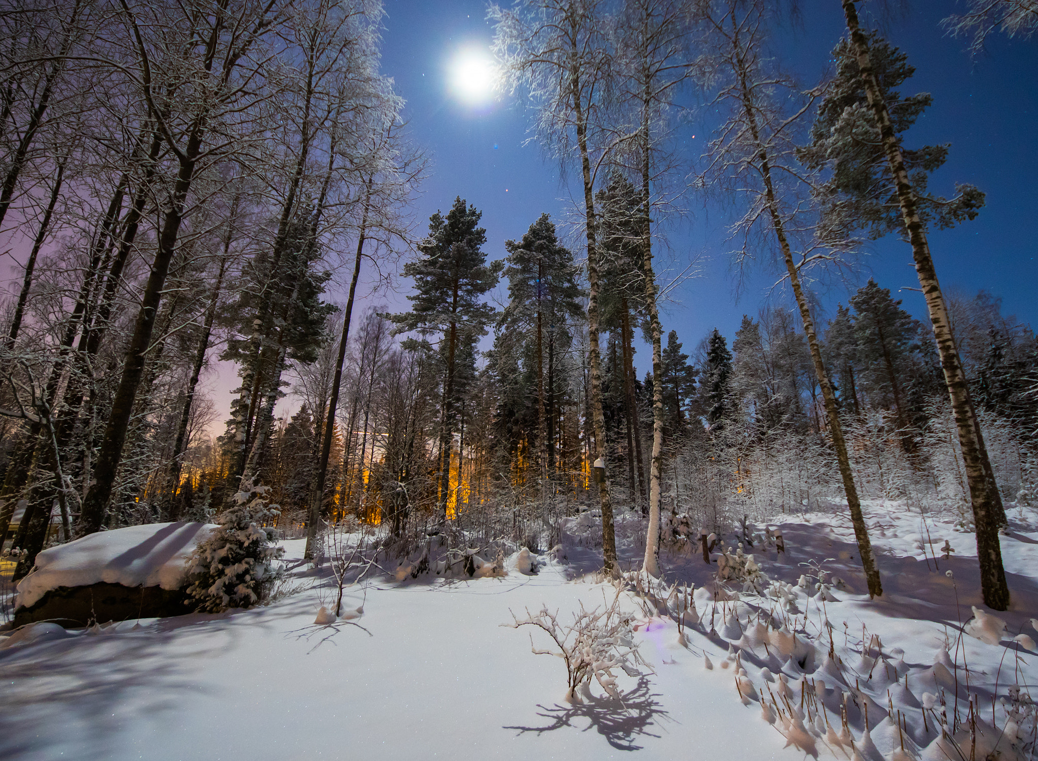 Sigma 8-16mm F4.5-5.6 DC HSM sample photo. Winterfun1 photography