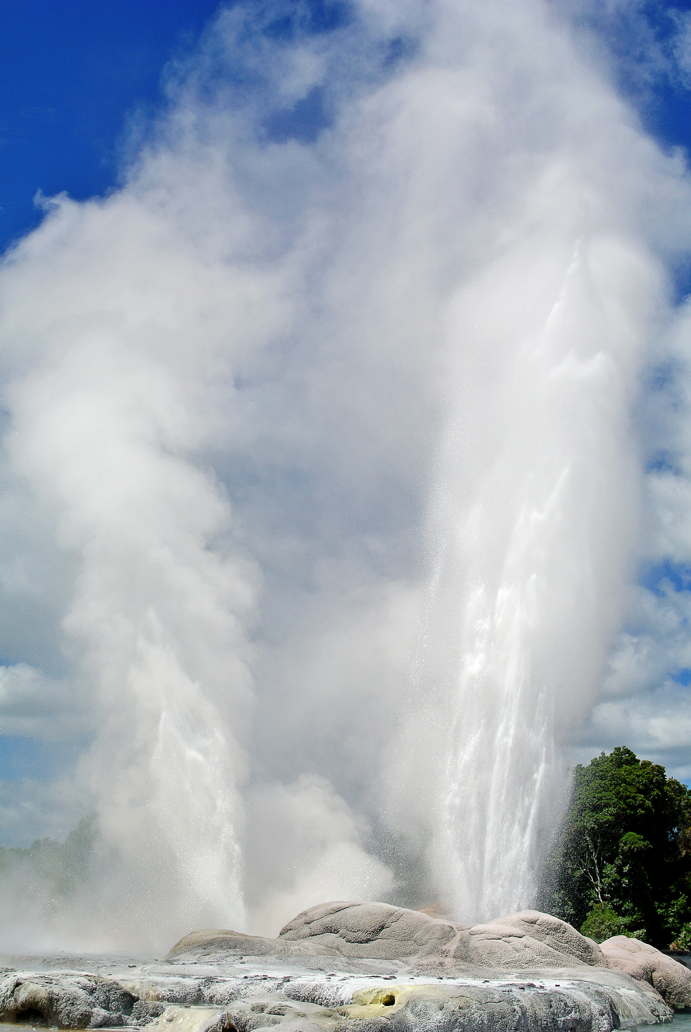 Nikon 1 V1 + Nikon 1 Nikkor 18.5mm F1.8 sample photo. Rotorua geyser - new zealand - 17 meters high geyser photography