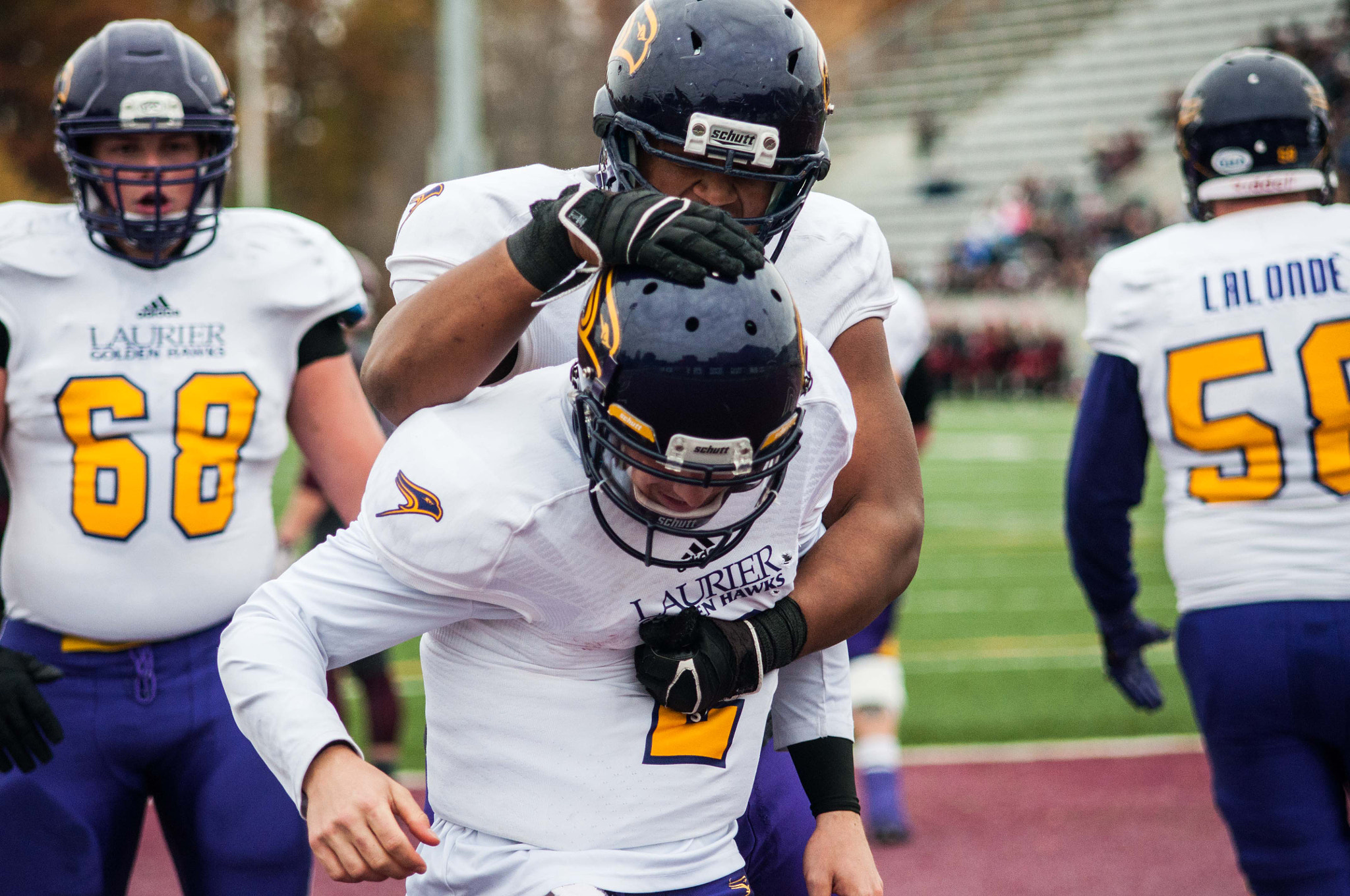 Sigma 50-150mm F2.8 EX APO DC HSM sample photo. Touchdown laurier! photography