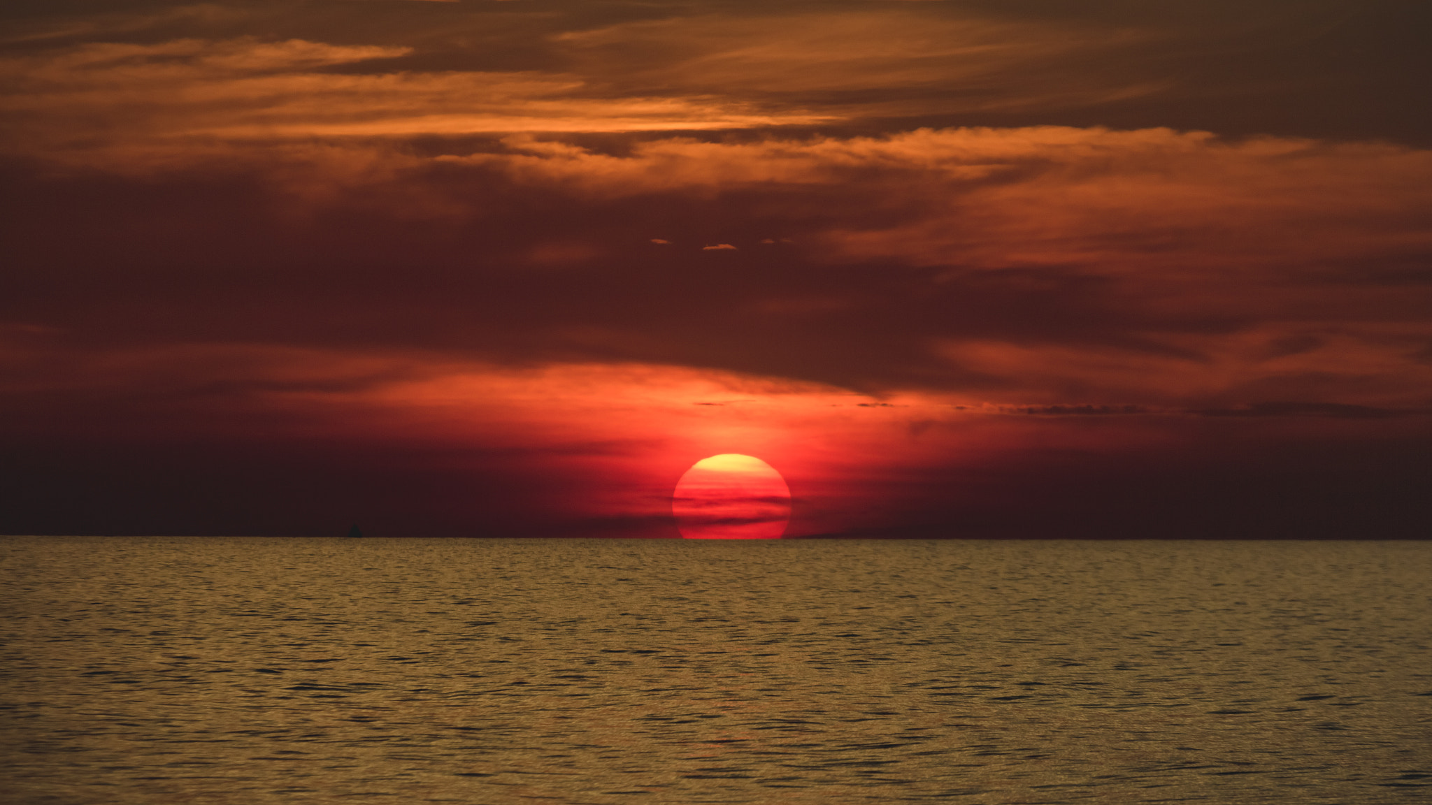 Sigma 70-200mm F2.8 EX DG OS HSM sample photo. Hms photography