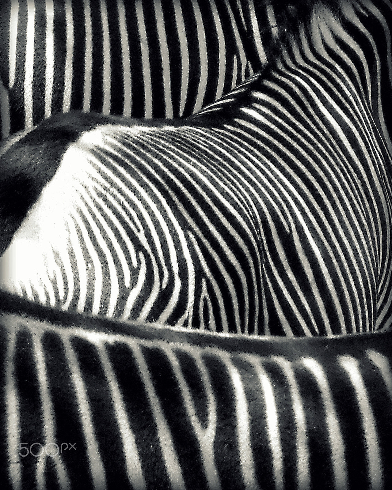 Fujifilm FinePix V10 sample photo. Stripes photography