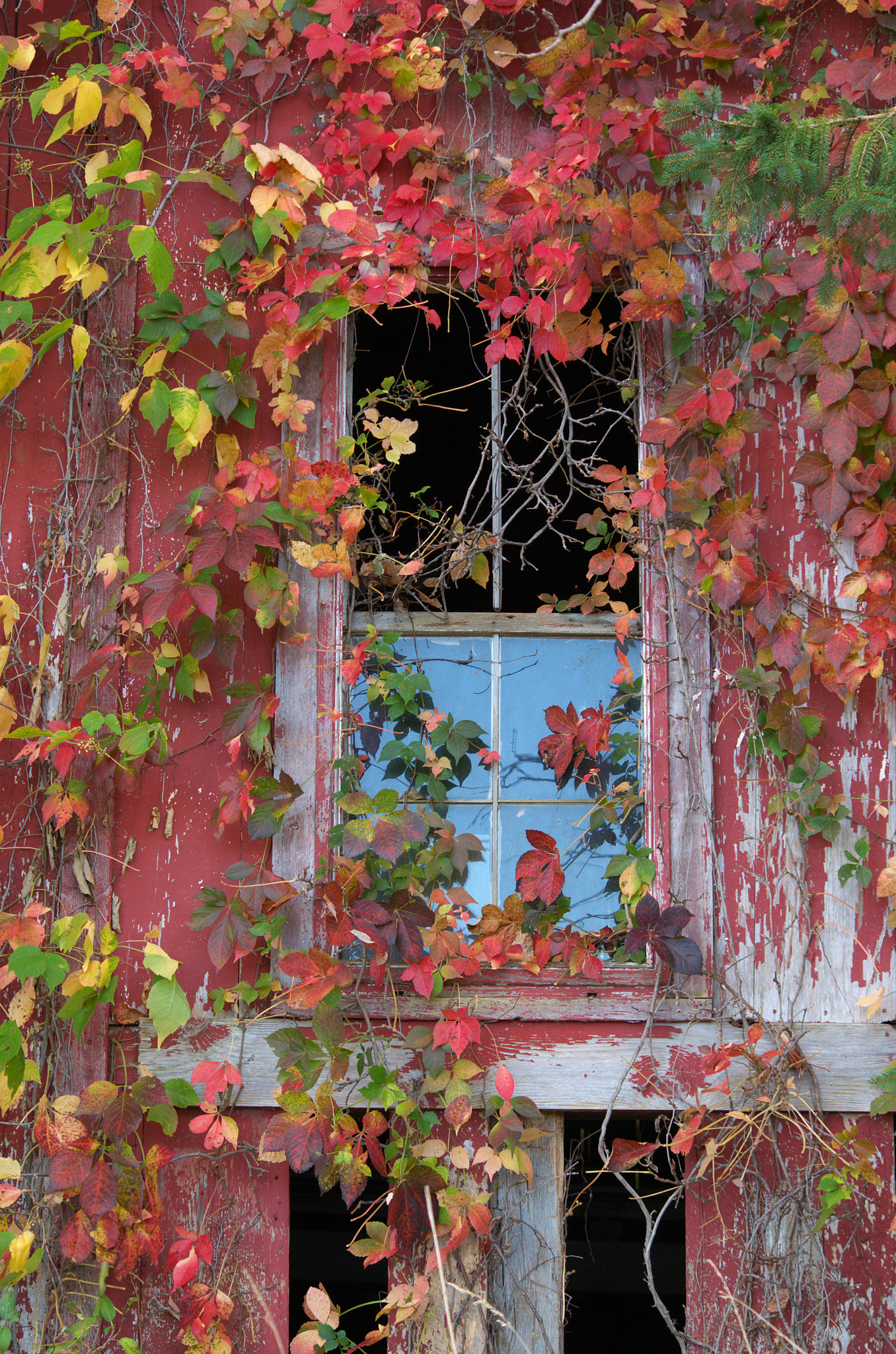 Pentax smc DA 55-300mm F4.0-5.8 ED sample photo. Barn window photography