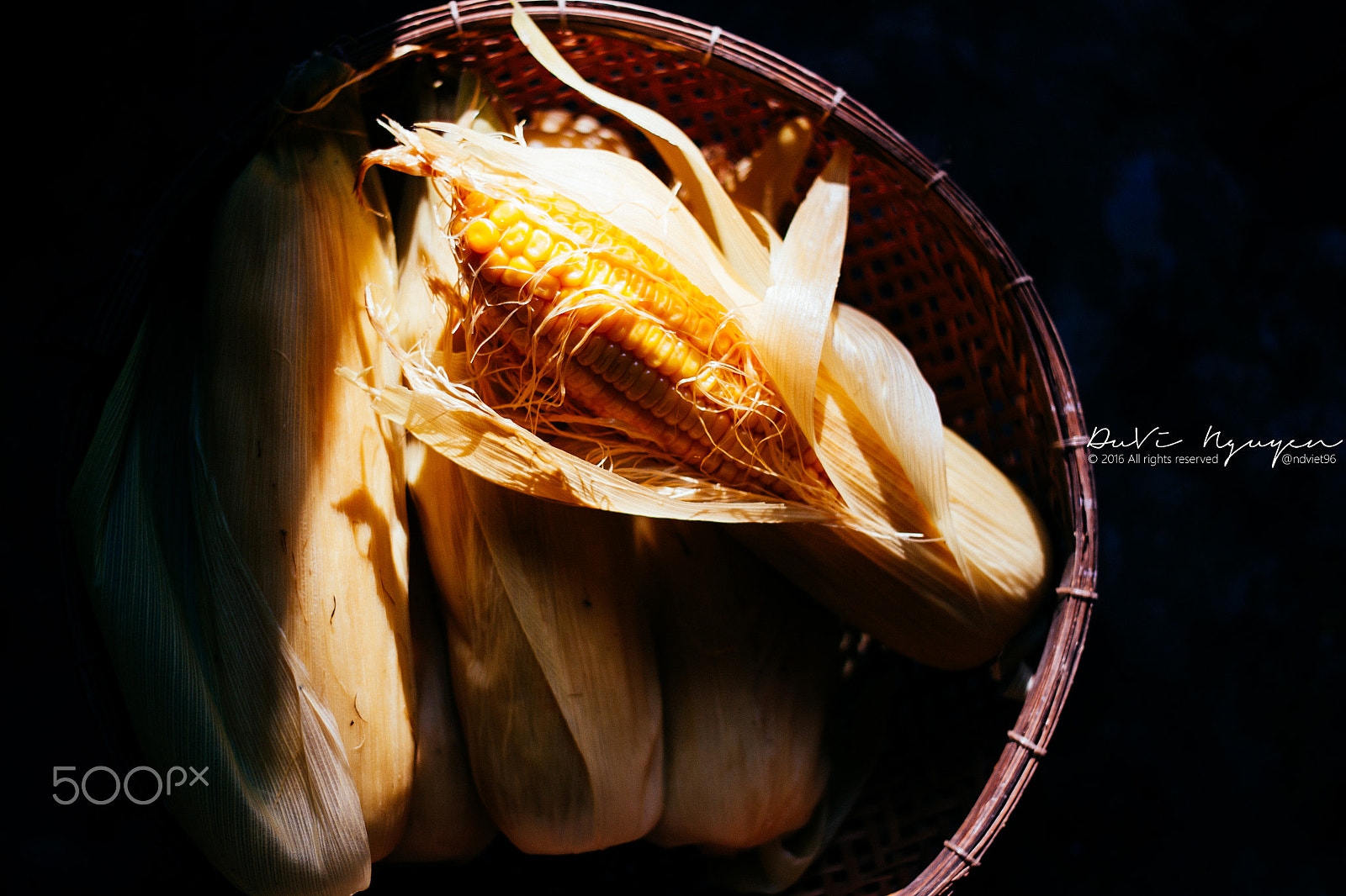 Canon EOS 500D (EOS Rebel T1i / EOS Kiss X3) + Canon EF 50mm F1.8 II sample photo. Corn photography