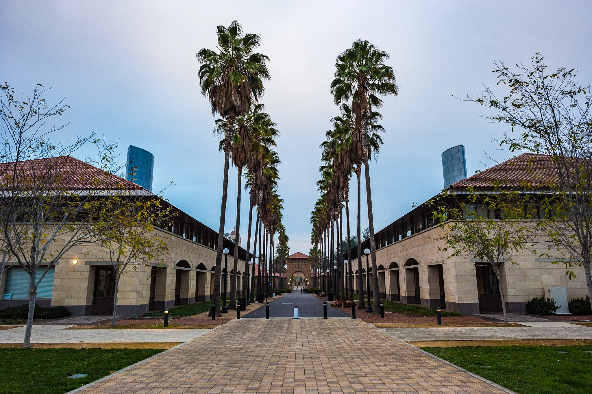 Nikon D700 + Nikon AF-S Nikkor 24mm F1.4G ED sample photo. Stanford university photography