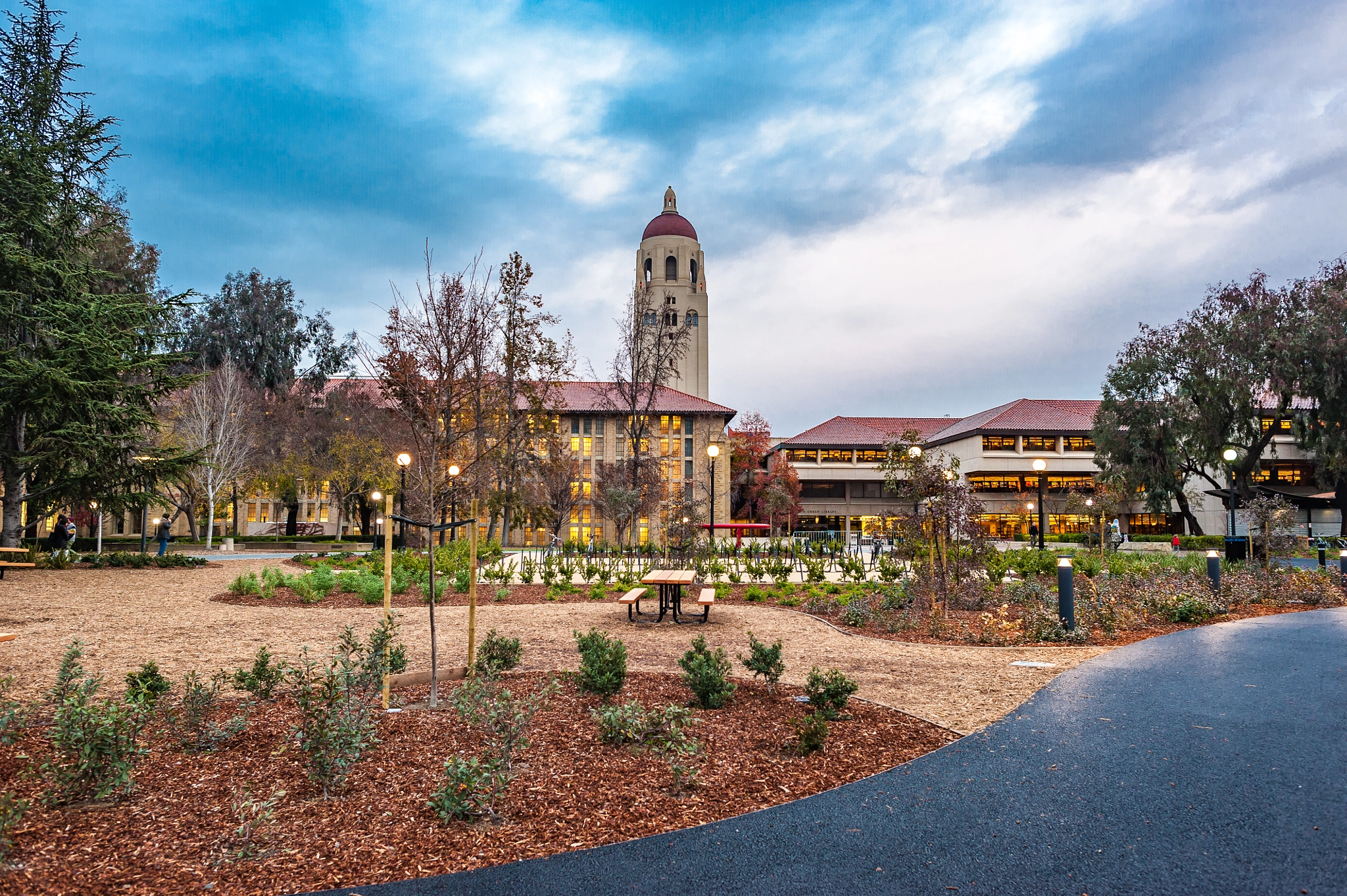 Nikon D700 + Nikon AF-S Nikkor 24mm F1.4G ED sample photo. Stanford university photography