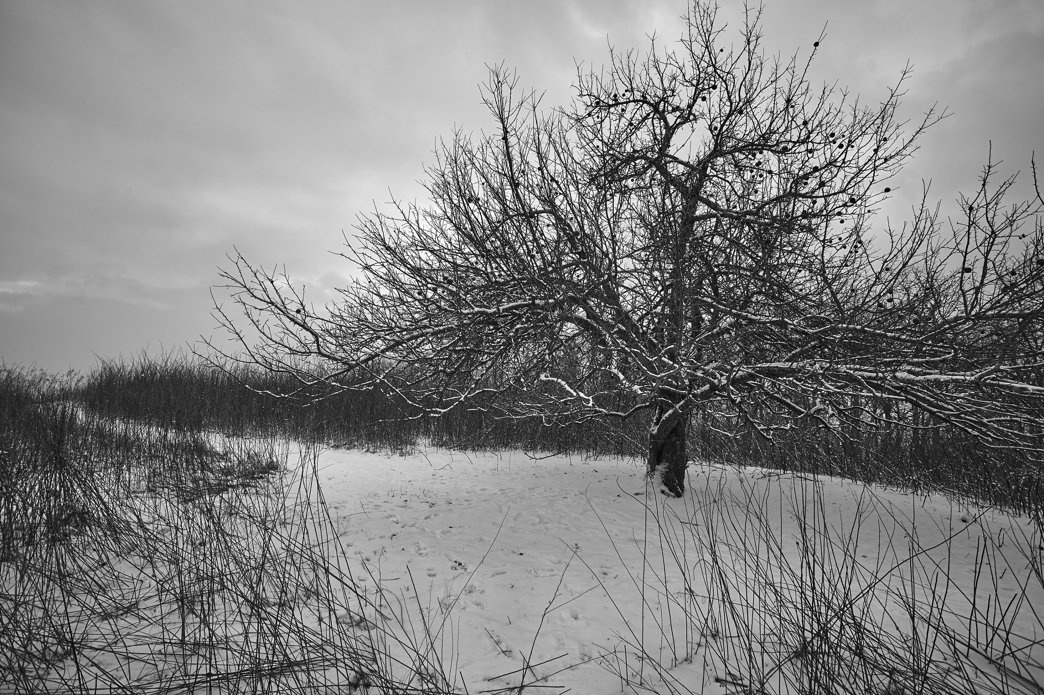 Minolta AF 17-35mm F3.5 G sample photo. Cold winter evening photography