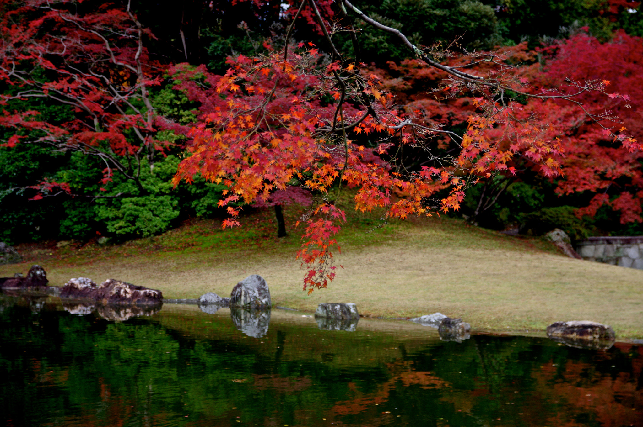 Sigma 17-70mm F2.8-4 DC Macro HSM Contemporary sample photo. Deep reflection photography