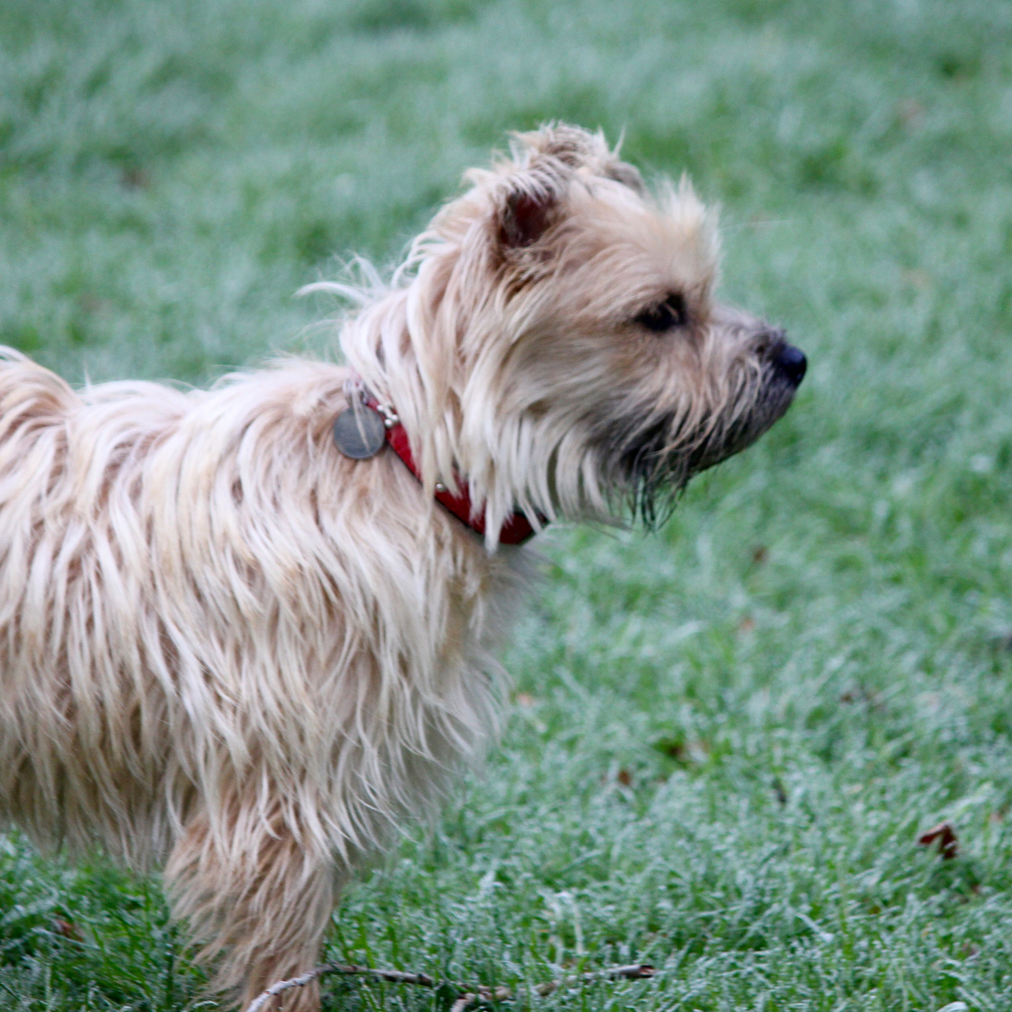 Canon EF-S 55-250mm F4-5.6 IS sample photo