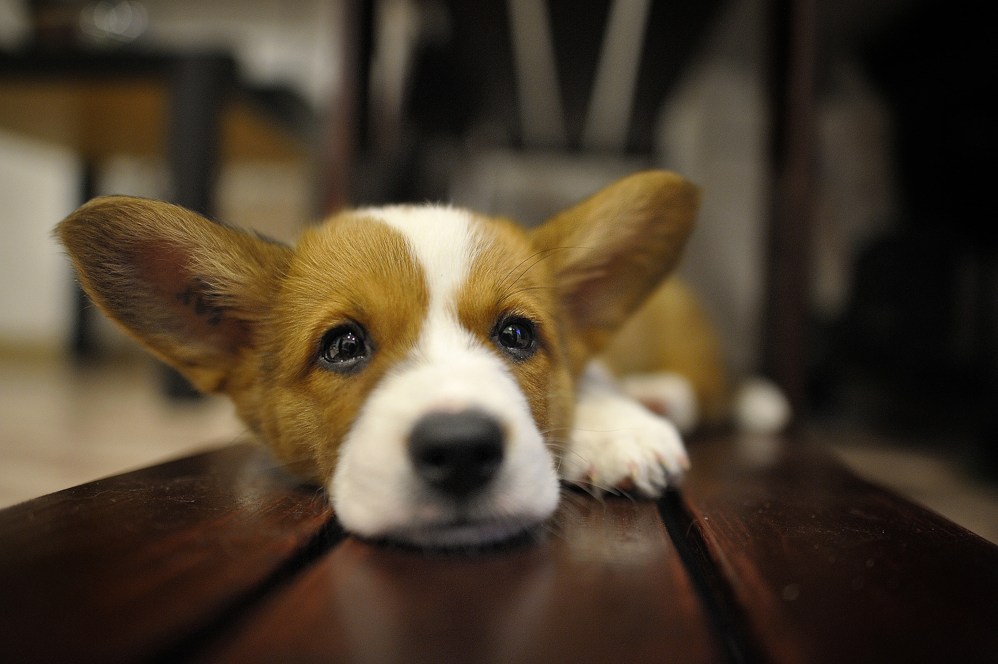 Nikon D700 + Nikon AF-S Nikkor 24mm F1.4G ED sample photo. *** photography