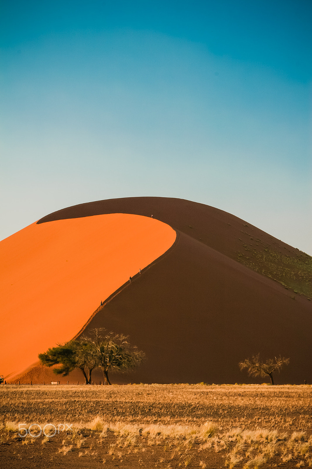 Canon EOS 30D + Canon EF 24-70mm F2.8L USM sample photo. Sand dunes namibia photography