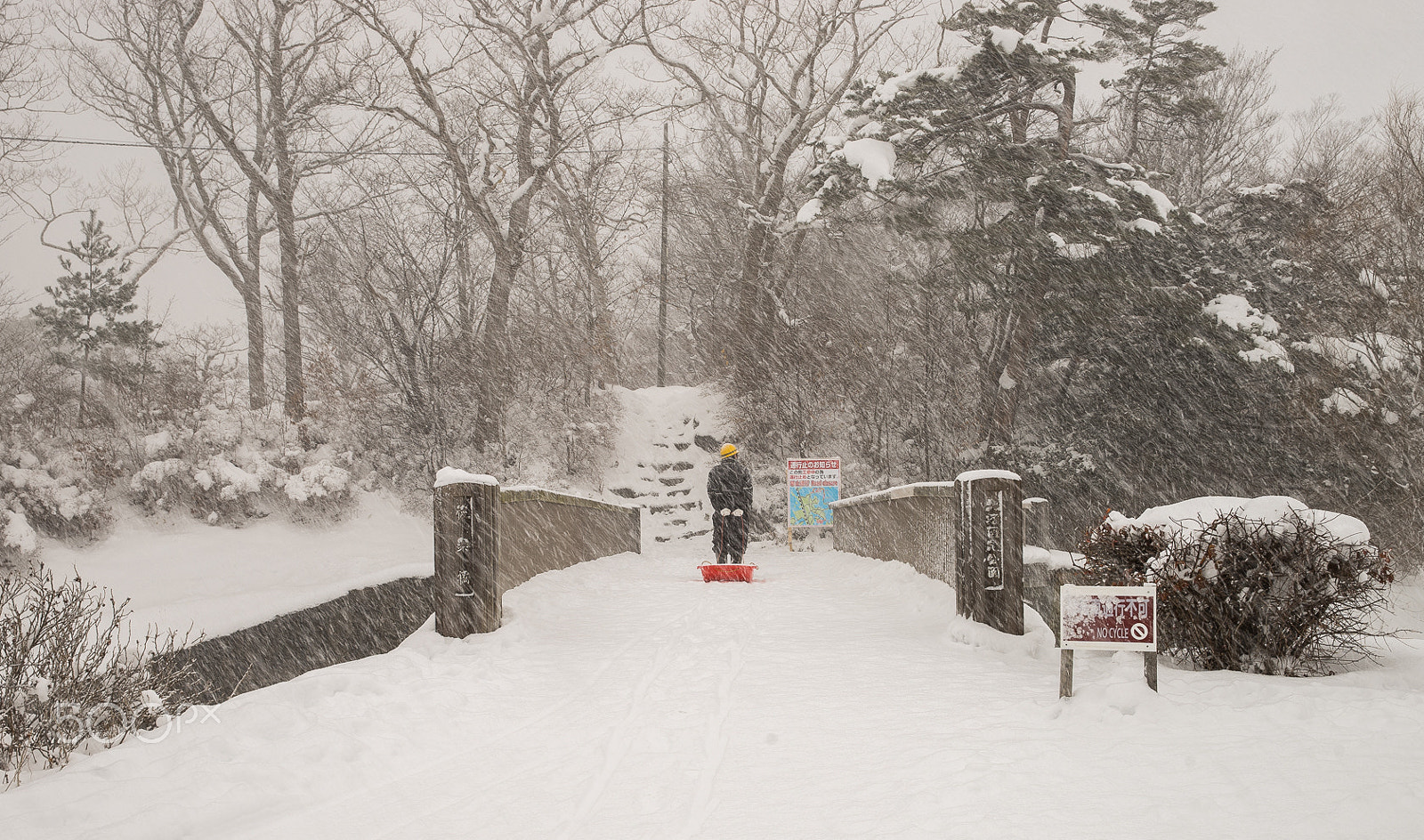 Canon EF 24-70mm F2.8L II USM sample photo. Hokkaido, japan photography