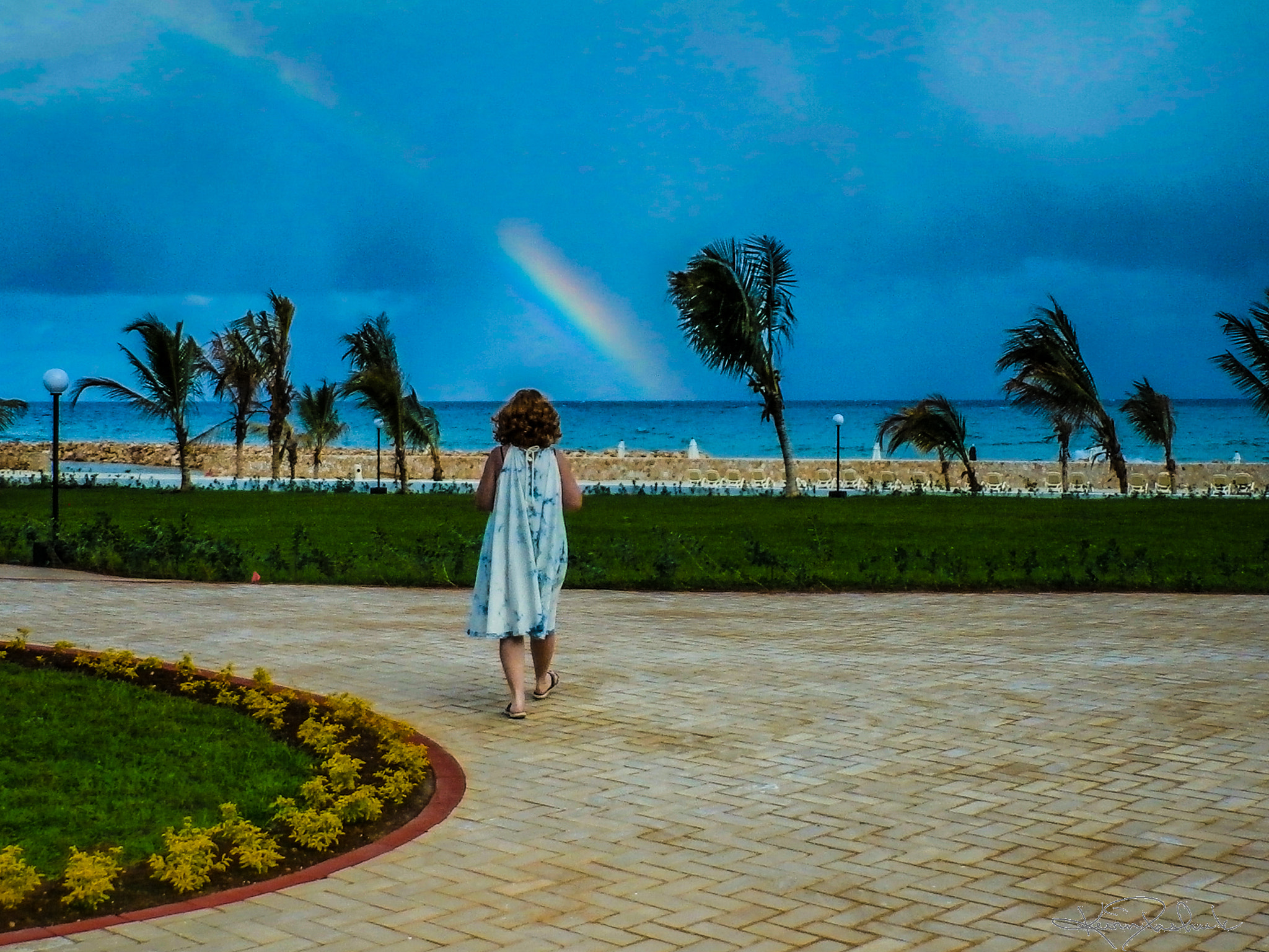Olympus SZ-15,DZ-100 sample photo. Jamaican rainbow photography