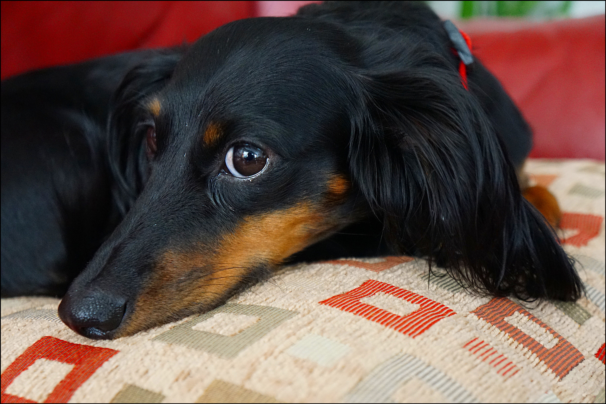 Tamron 18-200mm F3.5-6.3 Di III VC sample photo. Face.... photography