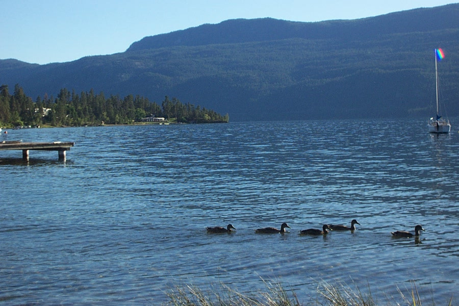 Kodak DX3600 DIGITAL CAMERA sample photo. Winfield, bc photography