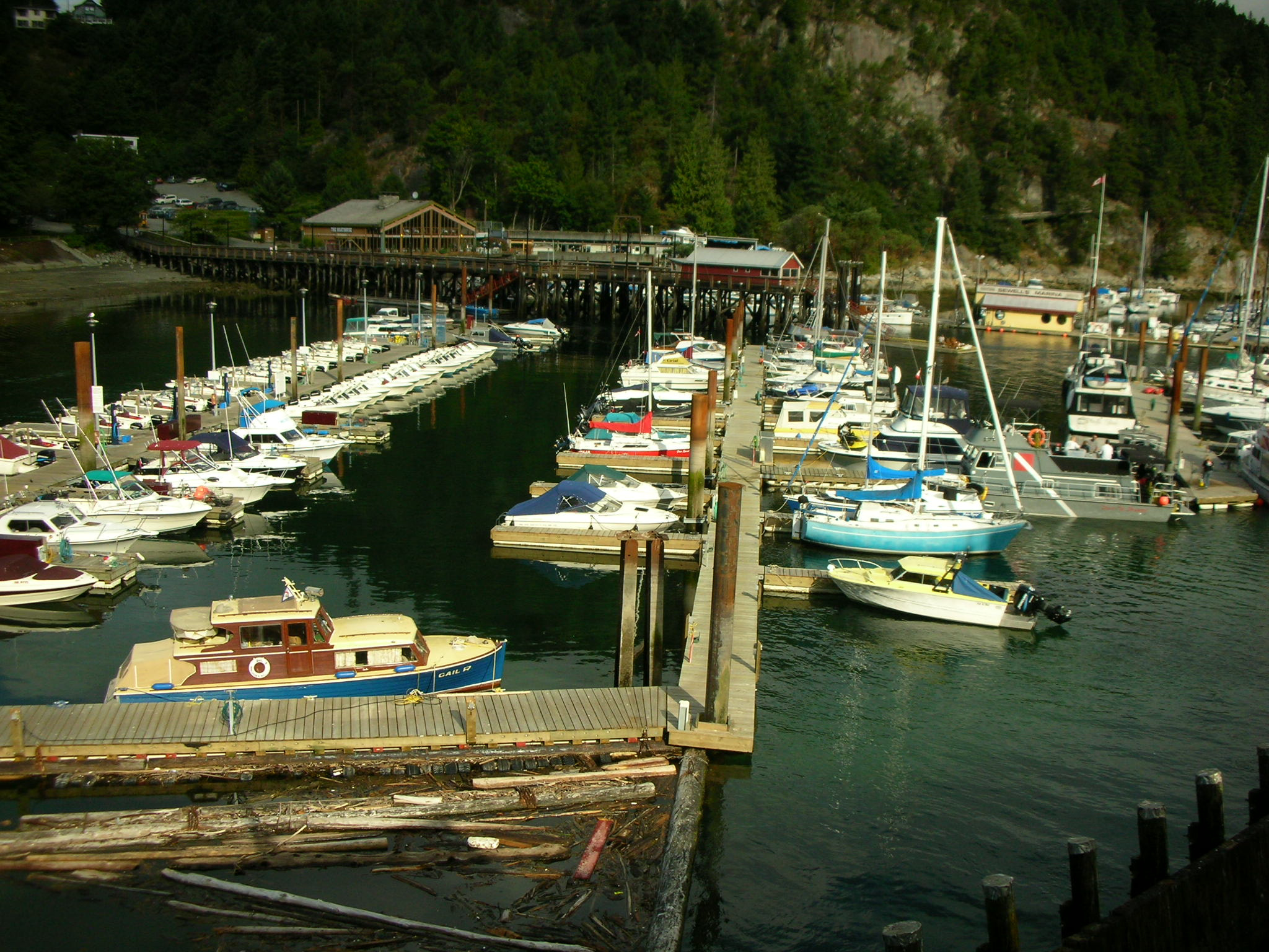 Nikon COOLPIX S3 sample photo. Ferry, vancouver island photography