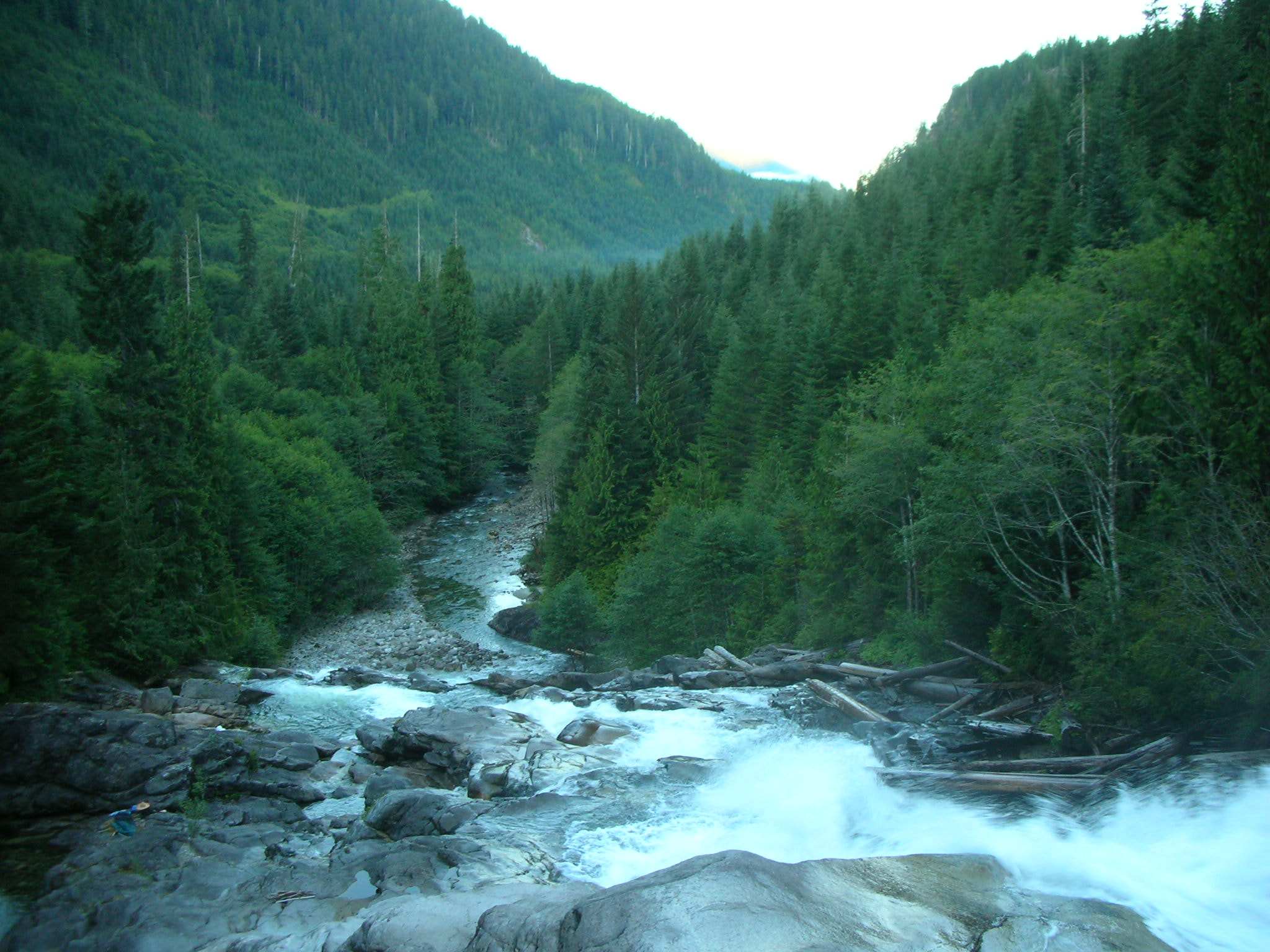 Nikon COOLPIX S3 sample photo. Falls. gold river. photography