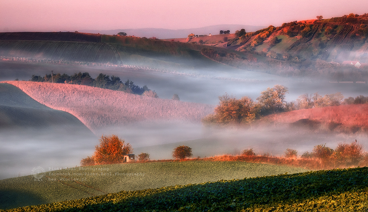 Sigma 50-500mm F4.5-6.3 DG OS HSM sample photo. Misting fields photography