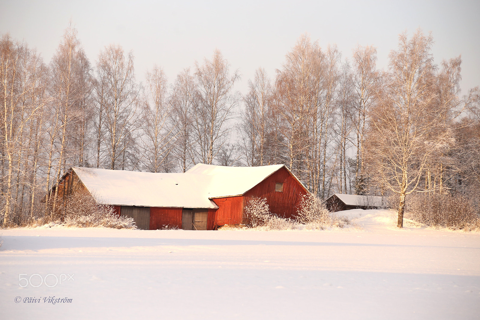 Canon EOS 6D + Sigma 50-200mm F4-5.6 DC OS HSM sample photo. Winter countryside #3 photography