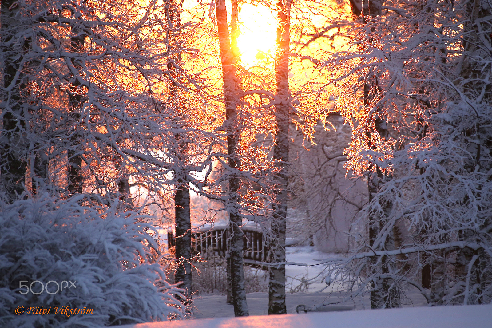 Canon EOS 6D + Canon 70-300mm sample photo. Winter sunrise photography