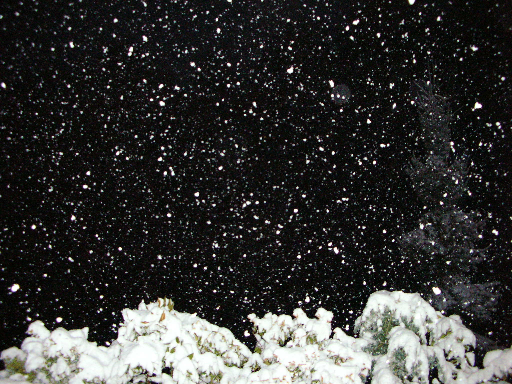 Nikon S1 sample photo. Snow flash photography