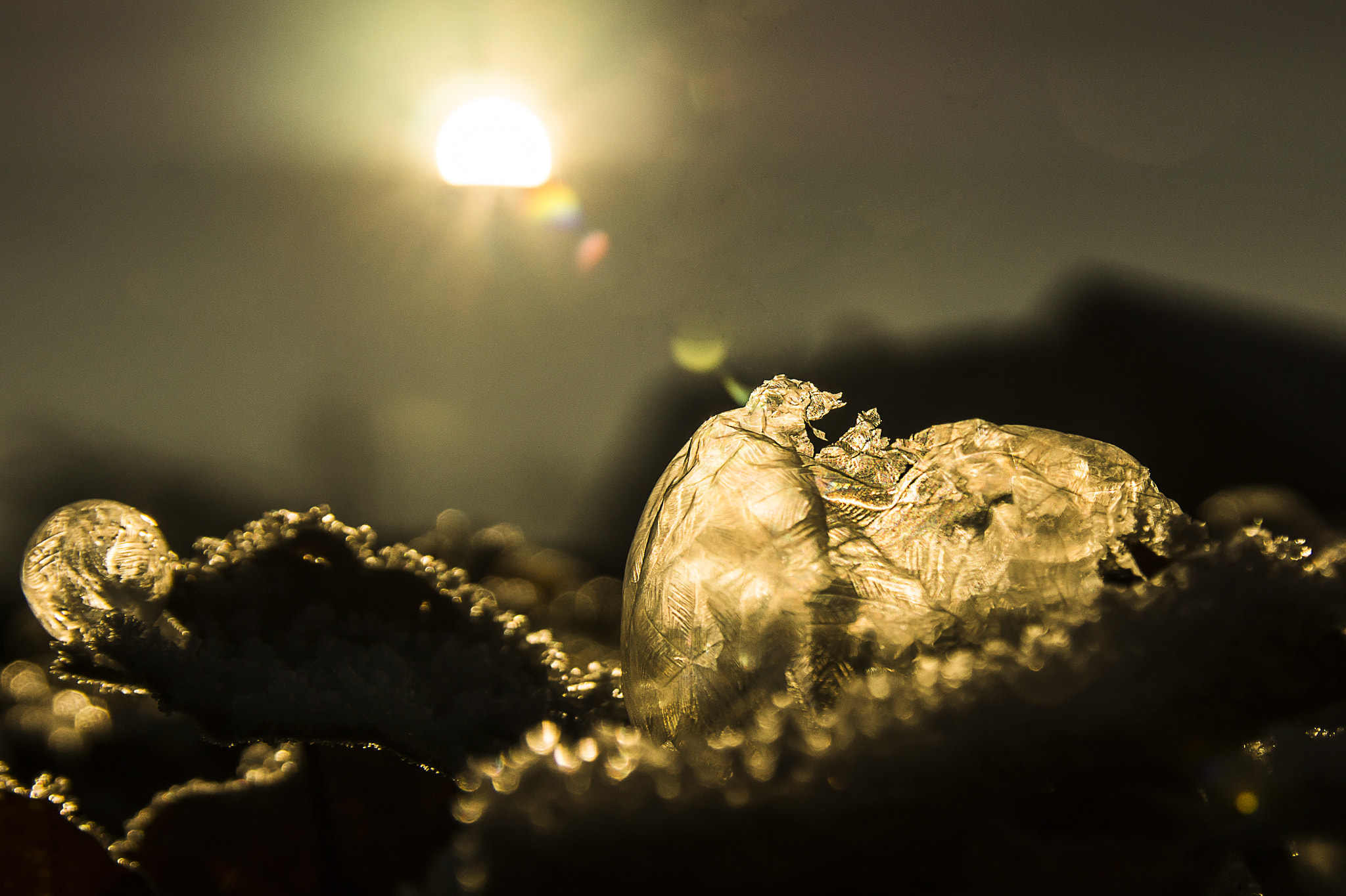 Sony SLT-A77 + 17-50mm F2.8 sample photo. Frozen photography