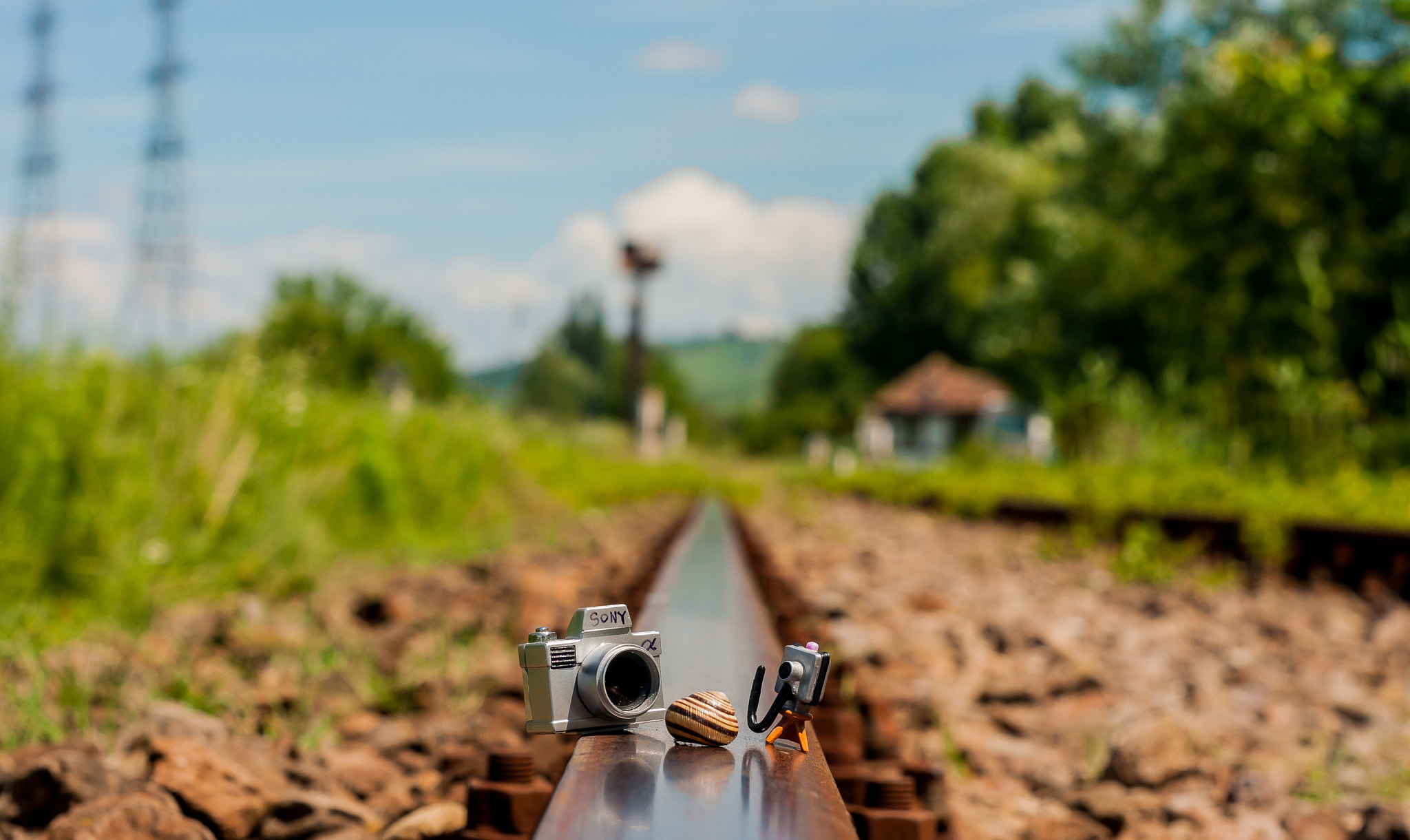 Sony Alpha DSLR-A700 + Minolta AF 50mm F1.7 sample photo. Under the a700 spell photography