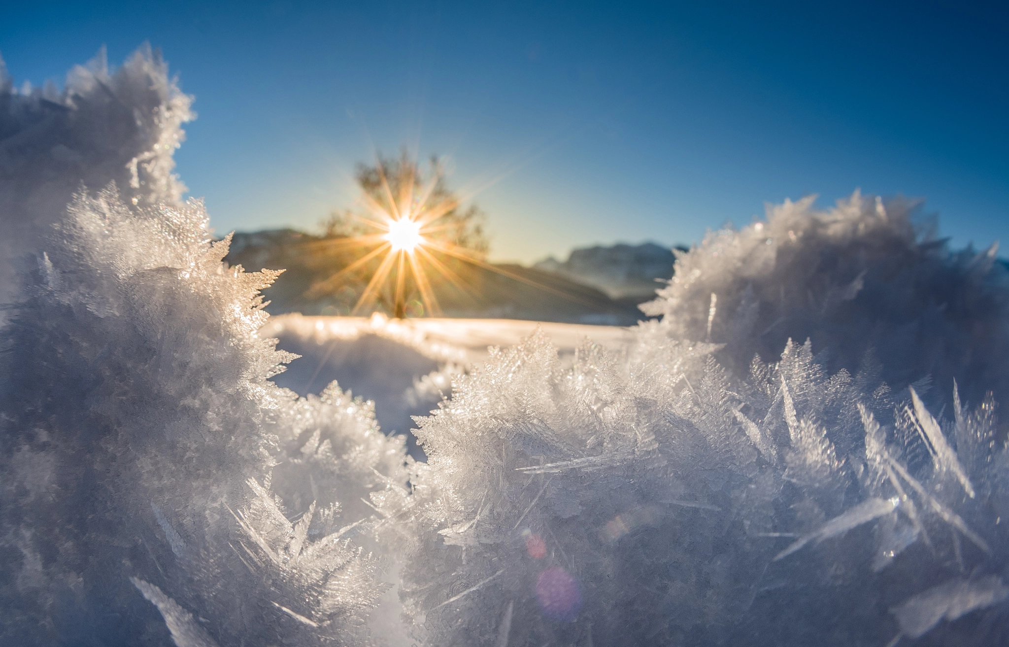 Nikon D750 + Sigma 10mm F2.8 EX DC HSM Diagonal Fisheye sample photo. Frozen photography