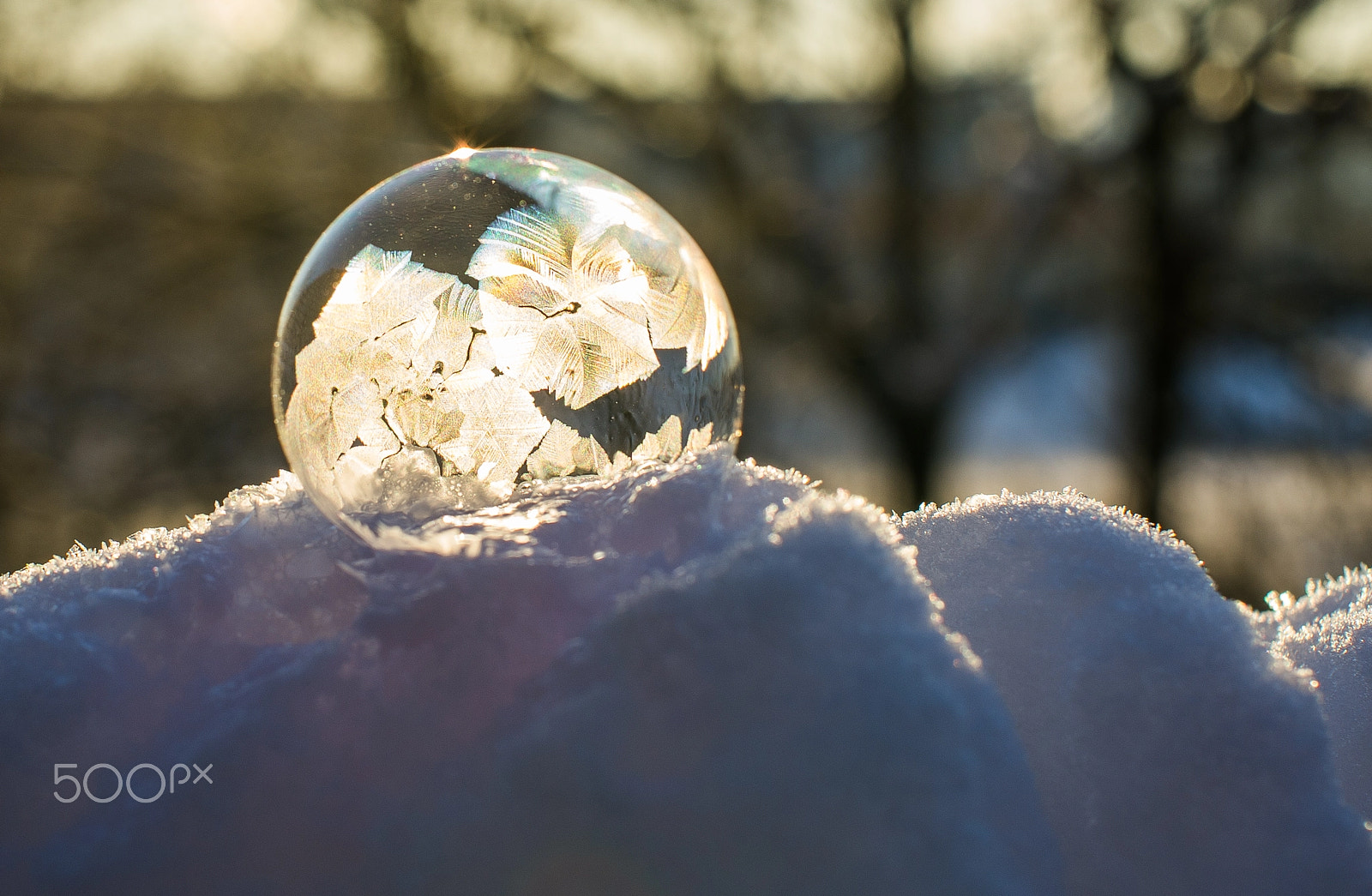 Pentax K-5 + Sigma 50mm F1.4 EX DG HSM sample photo. -12°c in the morning photography