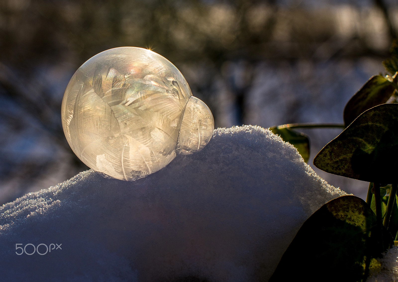 Pentax K-5 + Sigma 50mm F1.4 EX DG HSM sample photo. Frozen bubble photography