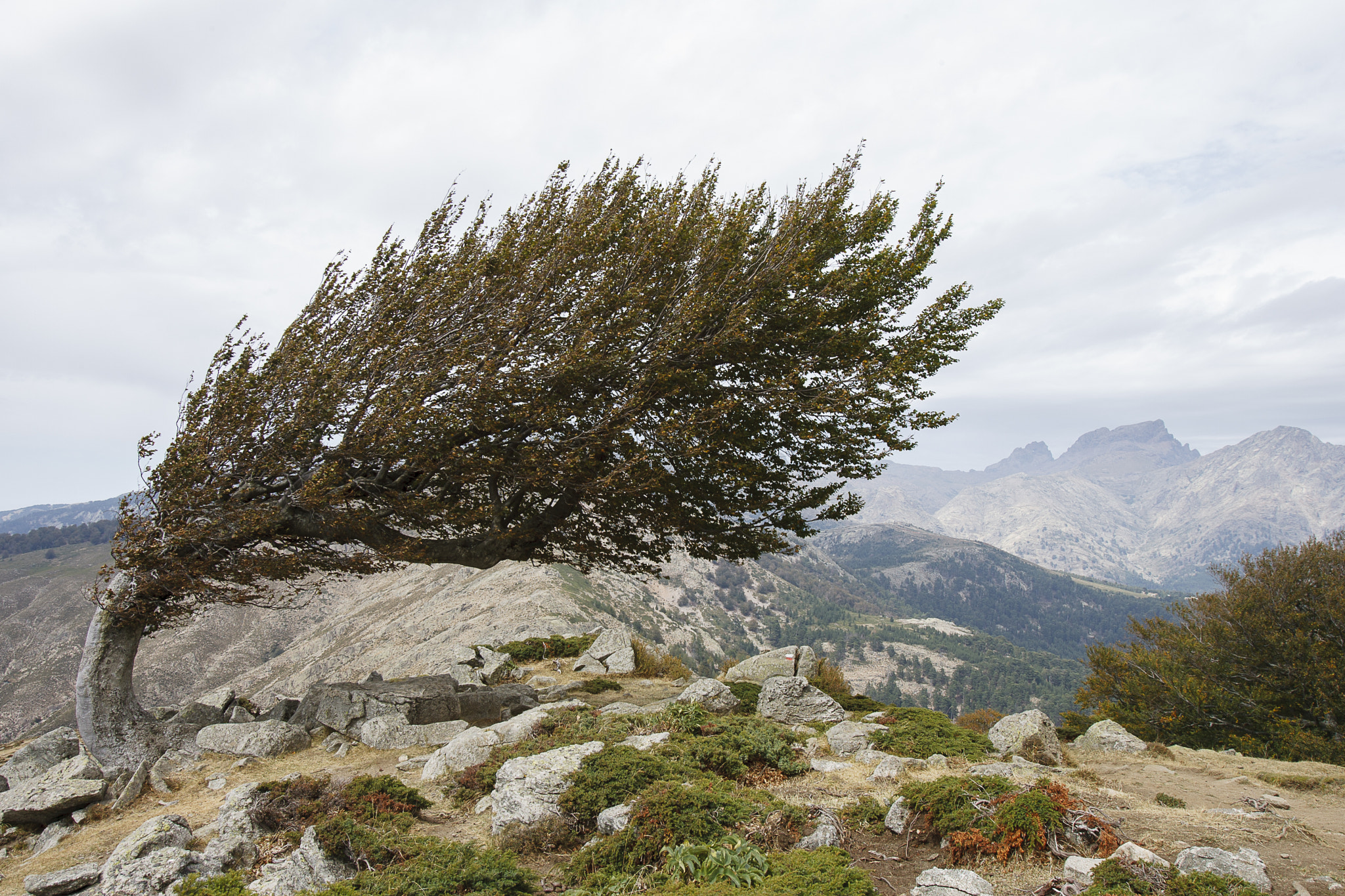 Canon EF 16-35mm F2.8L USM sample photo. Corsica gr20 photography