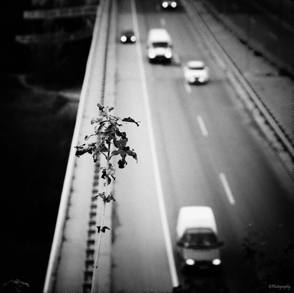 Sigma 24-70mm F3.5-5.6 Aspherical HF sample photo. The day before yesterday photography