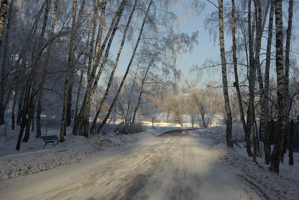 Pentax K10D sample photo. Cold day. photography