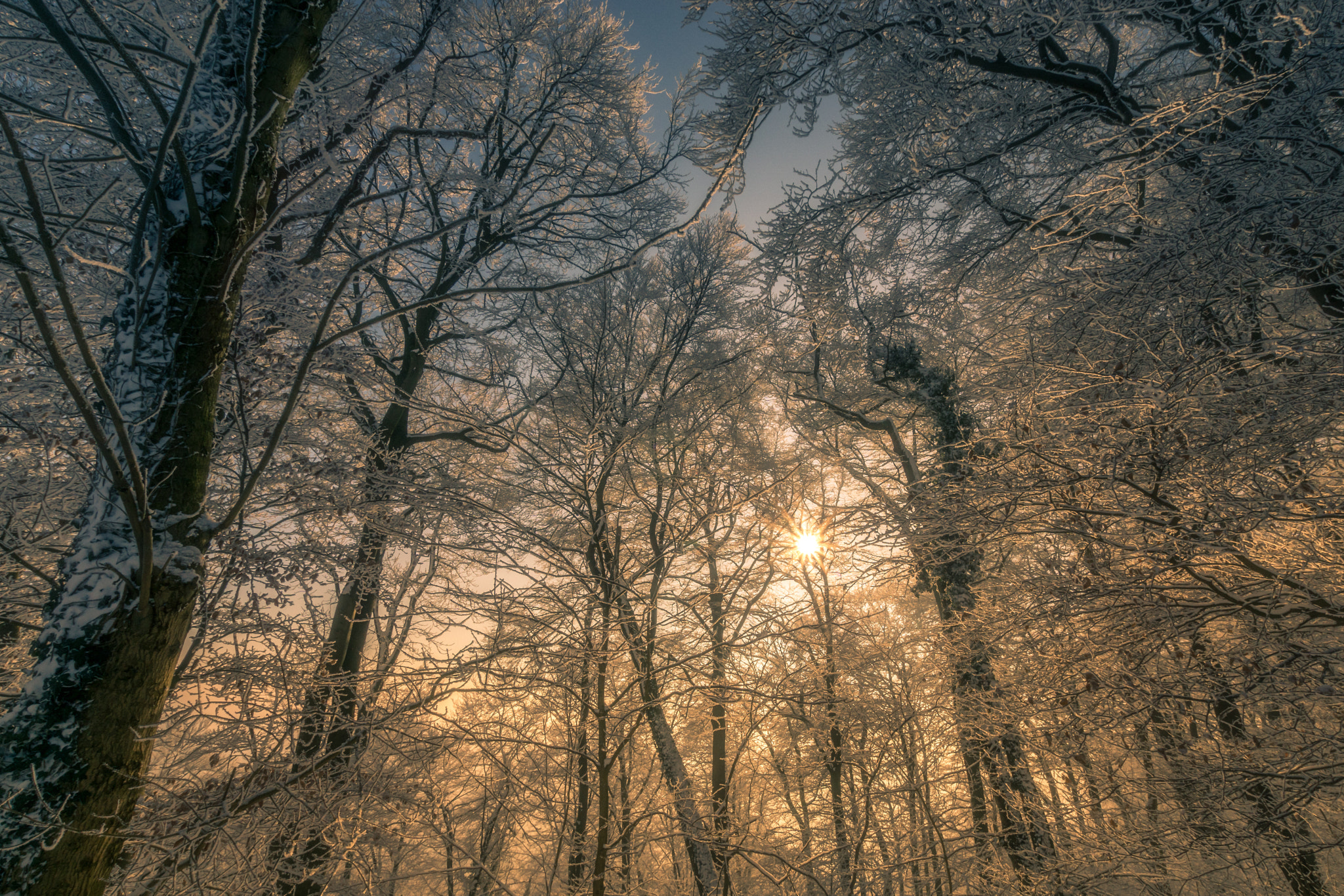 Sony ILCA-77M2 + Sigma 10-20mm F3.5 EX DC HSM sample photo. Winter wonderland photography