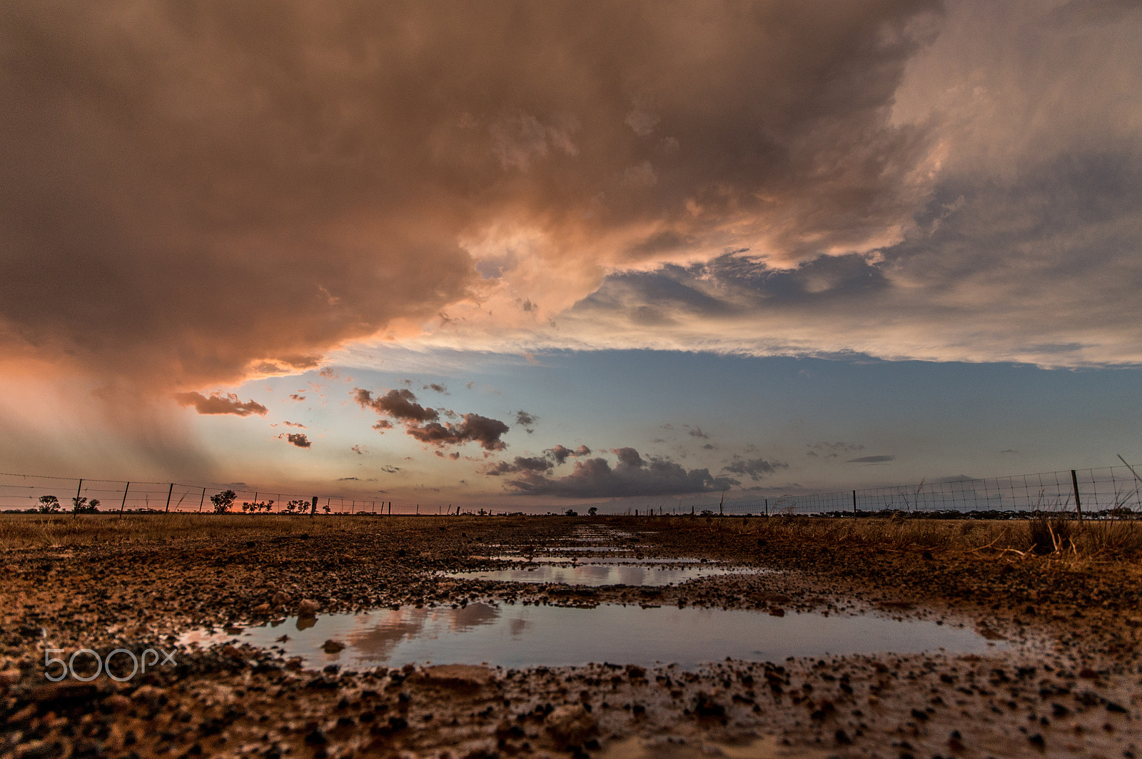 Sigma AF 10-20mm F4-5.6 EX DC sample photo. After the rain photography