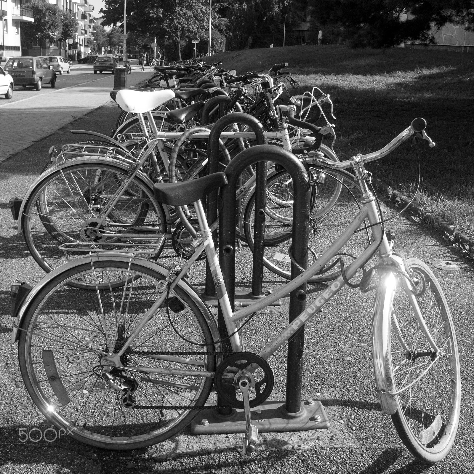 KONICA MINOLTA DiMAGE A2 sample photo. Bicycle row photography