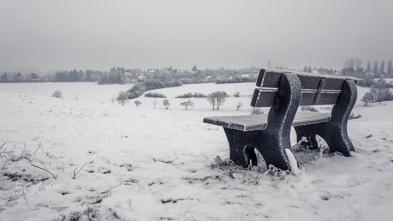 Sony Alpha NEX-3 + Sigma 19mm F2.8 EX DN sample photo. Frosted seat photography