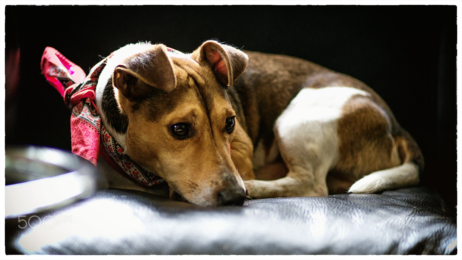 ZEISS Makro-Planar T* 100mm F2 sample photo. N37 photography