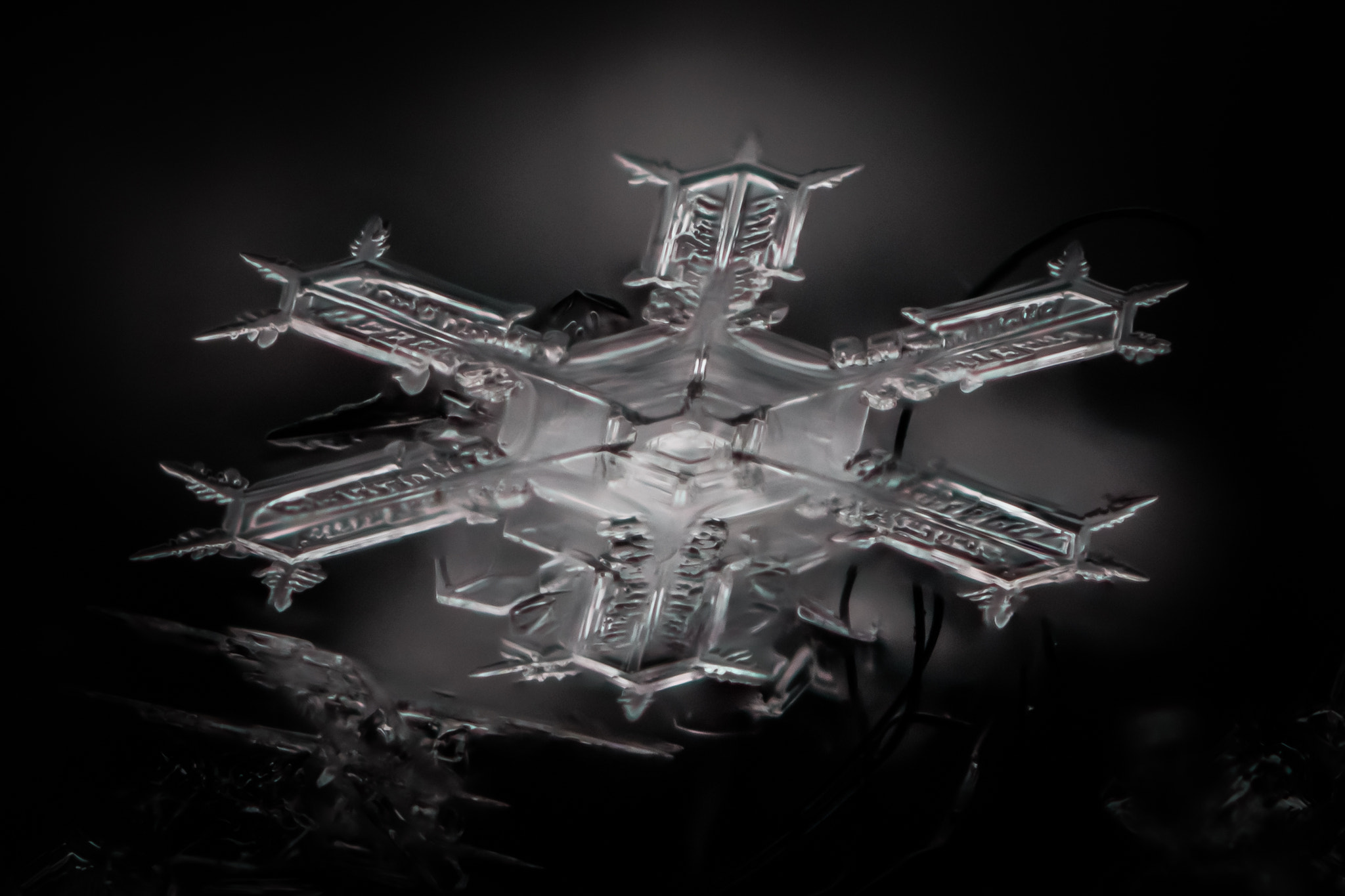Canon MP-E 65mm F2.5 1-5x Macro Photo sample photo. Snowflake photography