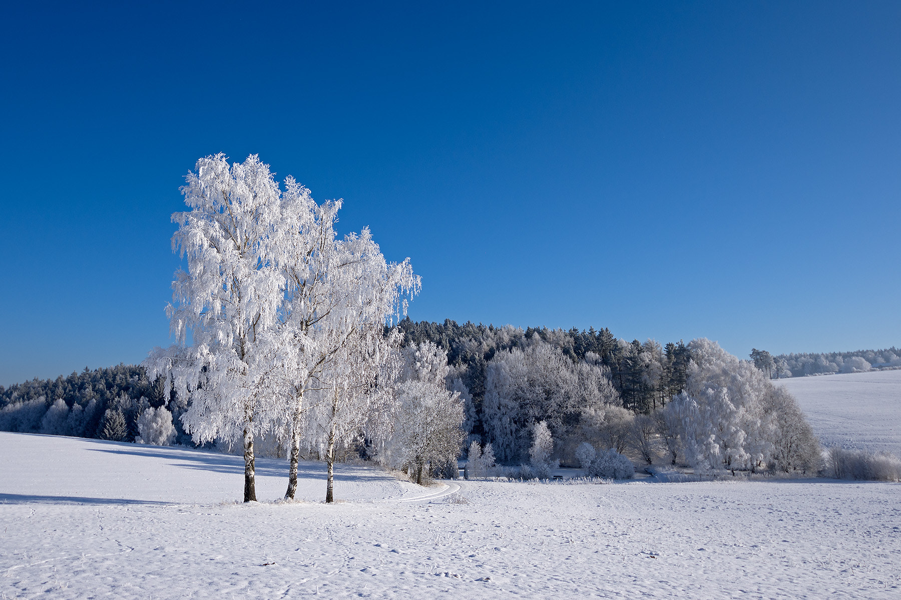 Pentax K-5 sample photo. -15 grad photography